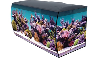 FLUVAL Aquarium »FLEX MARINE«, 123 l, BxTxH: 82x39x40 cm kaufen