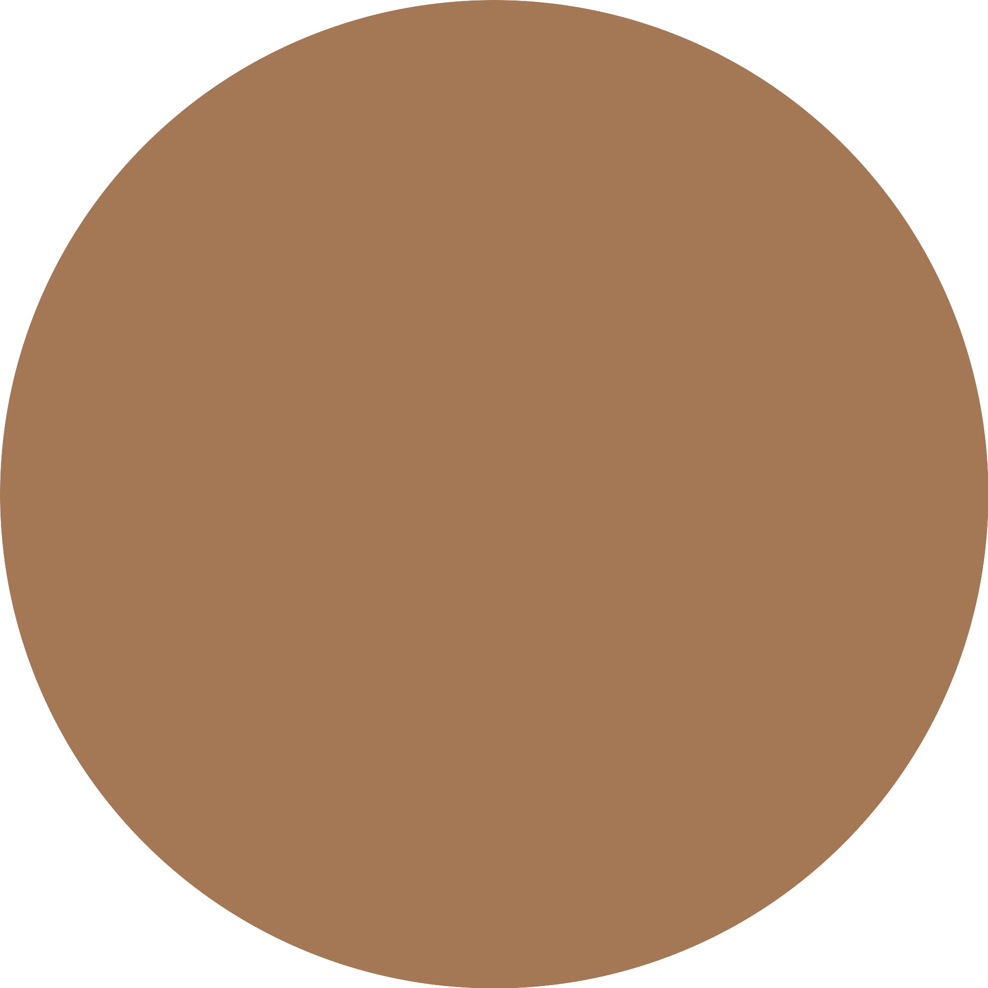 Catrice Foundation »Skin Like Tinted Moisturizer«