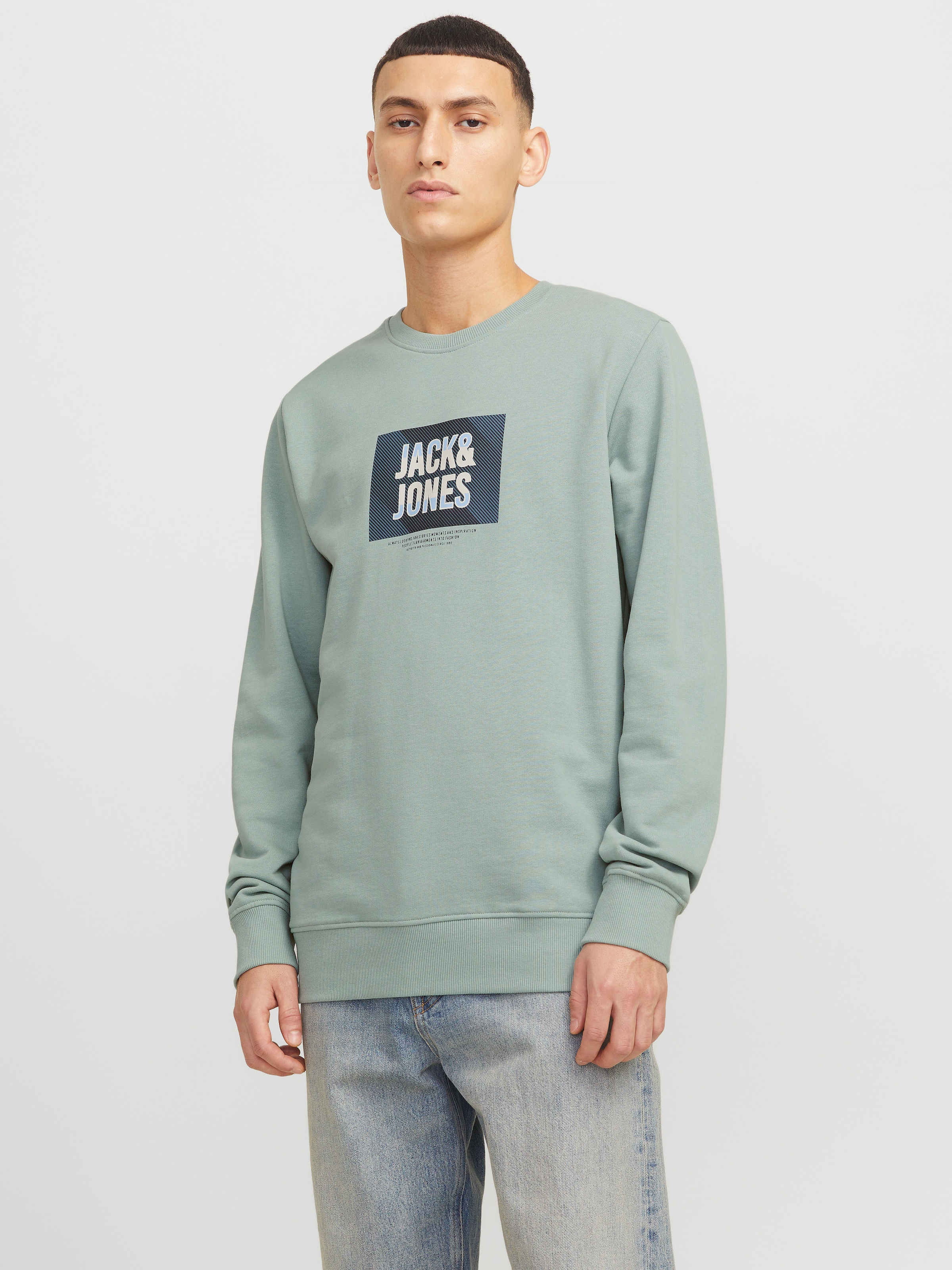 Jack & Jones Sweatshirt "JJHUDSON – Sweatshirt mit Print, Rundhals und Kapu günstig online kaufen