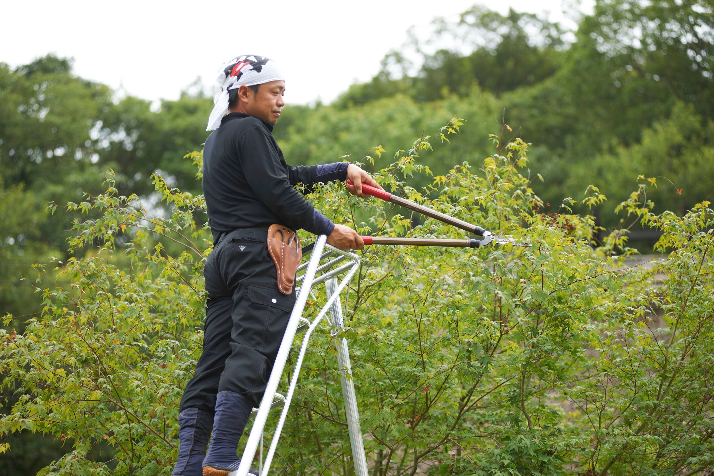 Niwaki Vielzweckleiter, Gartenleiter, gleicht Unebenheiten im Gelände aus