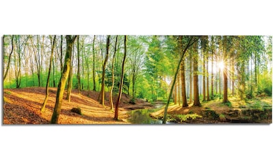 Wandbild »Sonniger Wald«