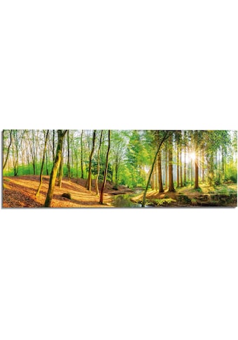 Wandbild »Sonniger Wald«