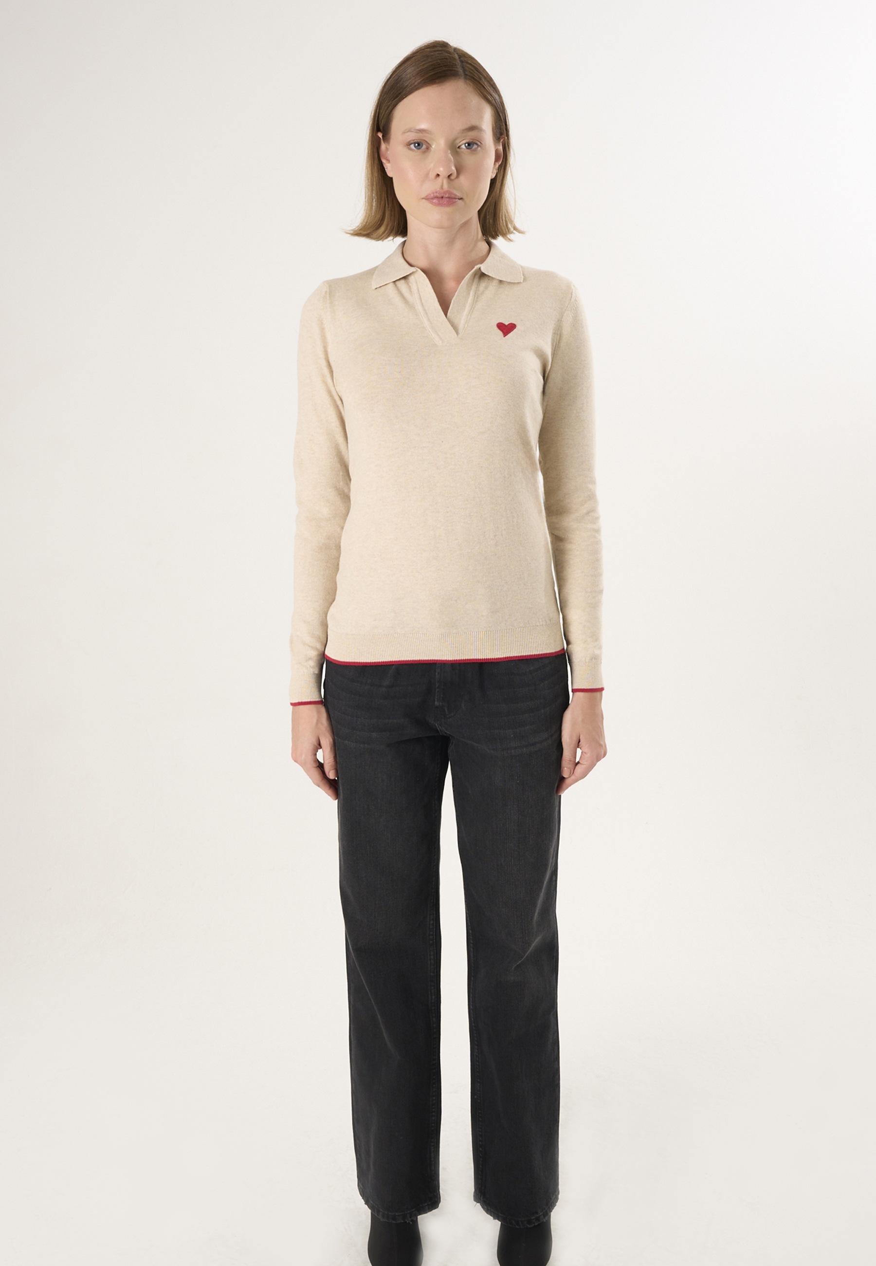 Felix Hardy Polokragenpullover »Strickpullover mit Rollkragen«