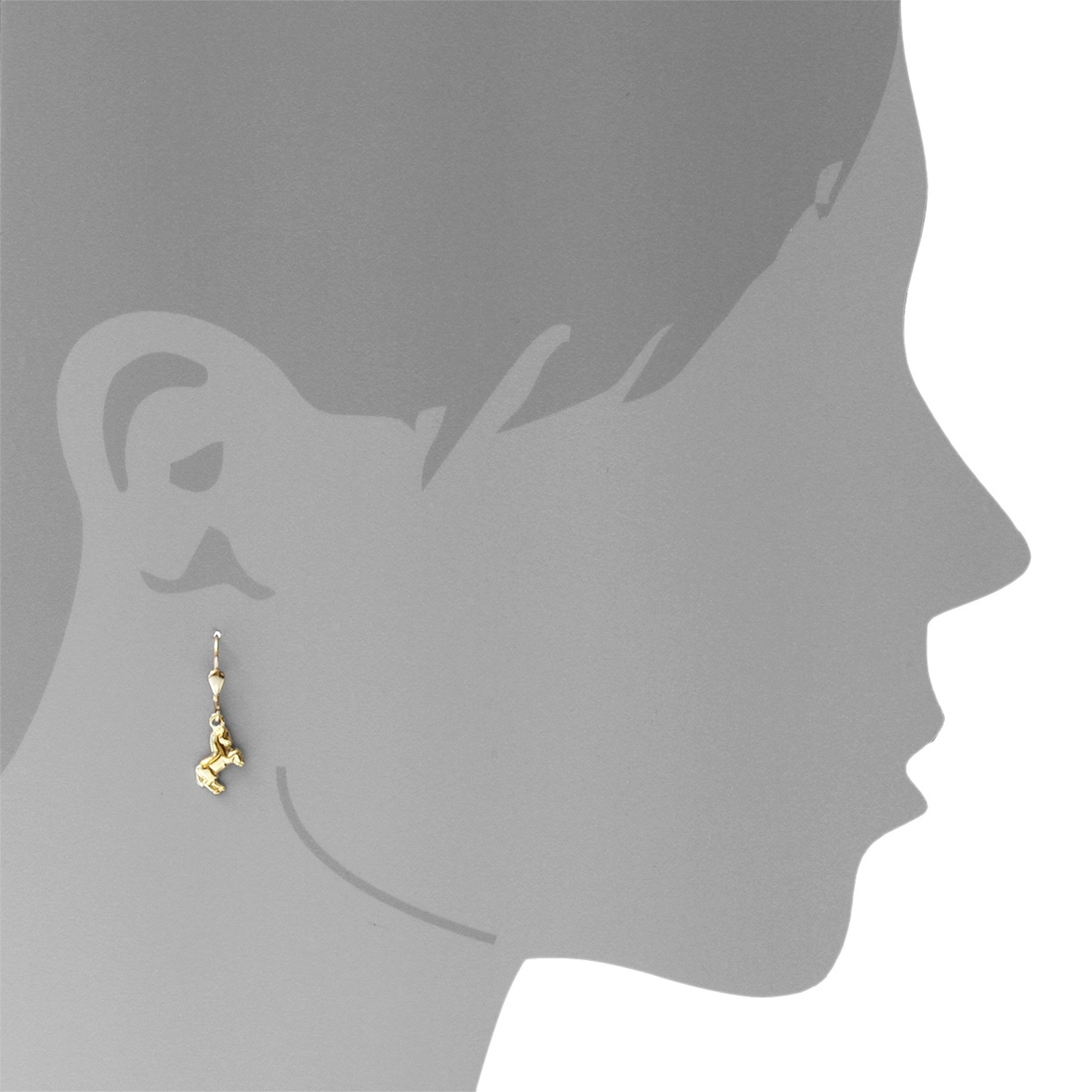 OSTSEE-SCHMUCK Paar Ohrhänger »Ostsee-Schmuck Ohrhänger Pferd Ohrhänger Pferd«, (2 tlg.)