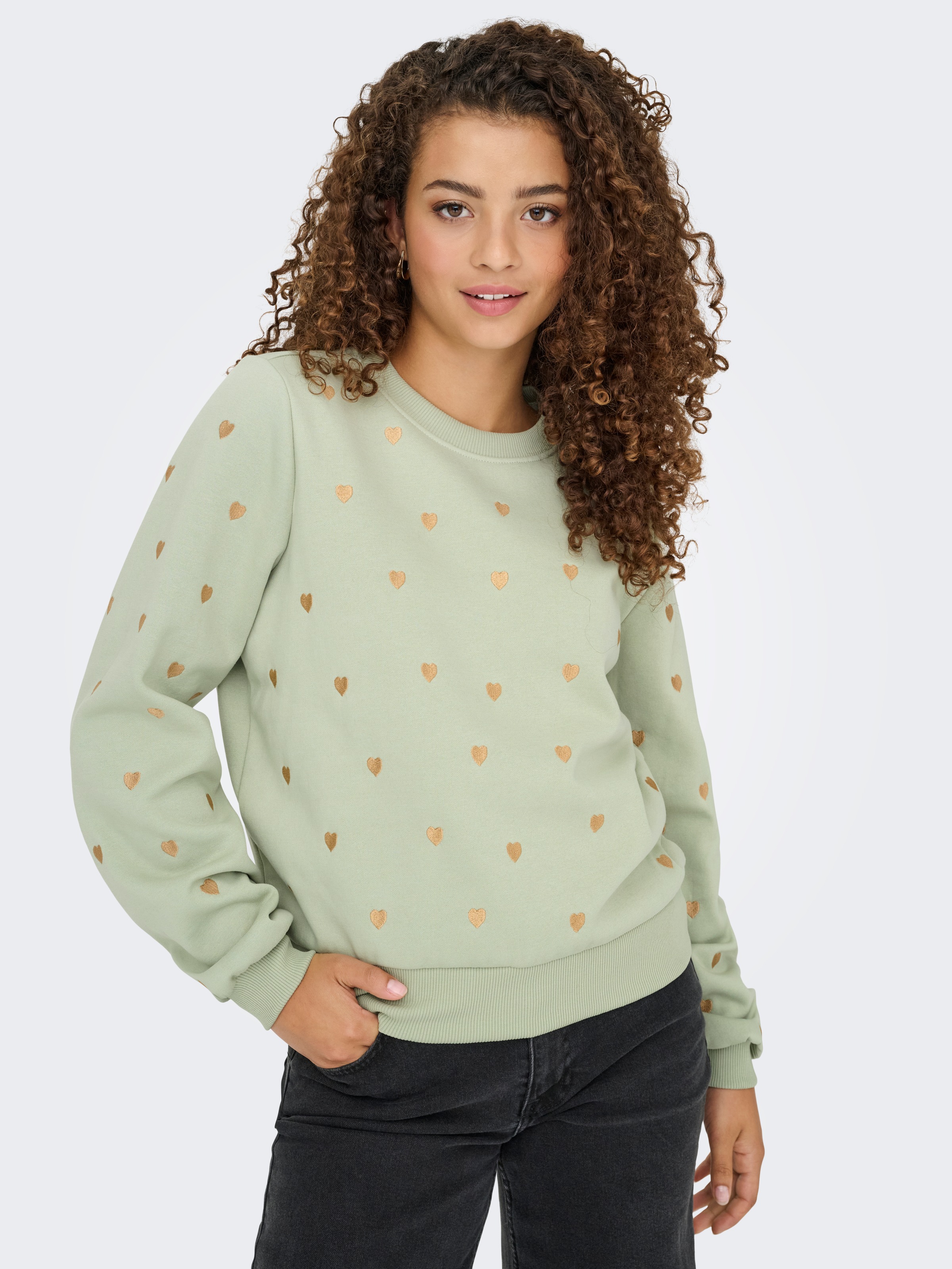 ONLY Sweatshirt "ONLATIKA L/S O-NECK GLITTER EMB. BOX SWT" günstig online kaufen