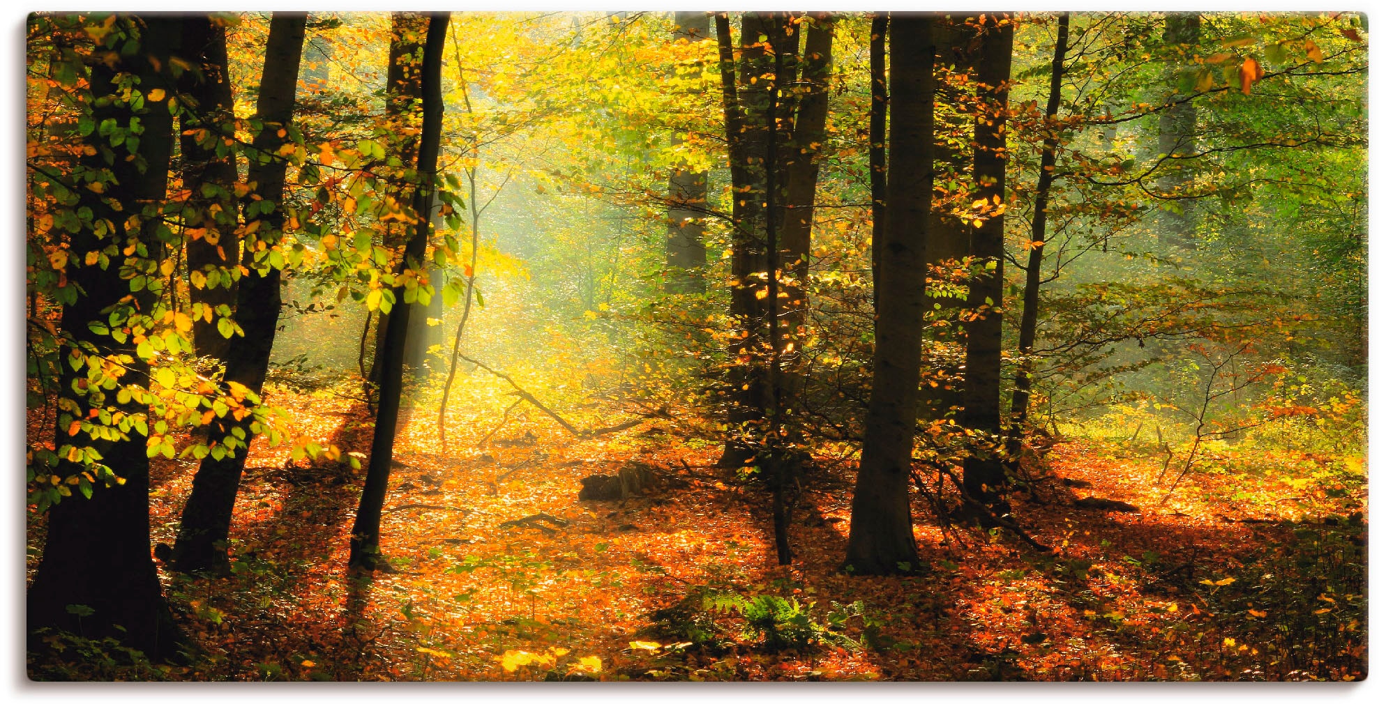 Artland Wandbild "Herbstlicht im Wald", Wald, (1 St.), als Leinwandbild, Poster, Wandaufkleber in verschied. Größen