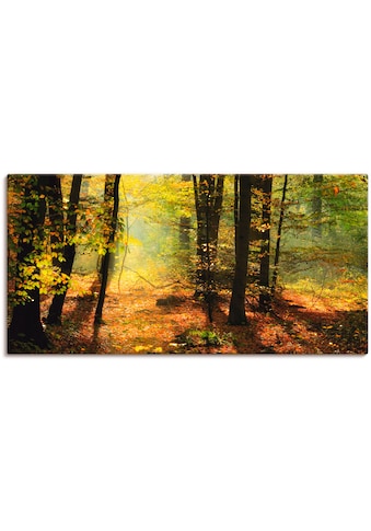 Artland Paveikslas »Herbstlicht im Wald« Wald ...