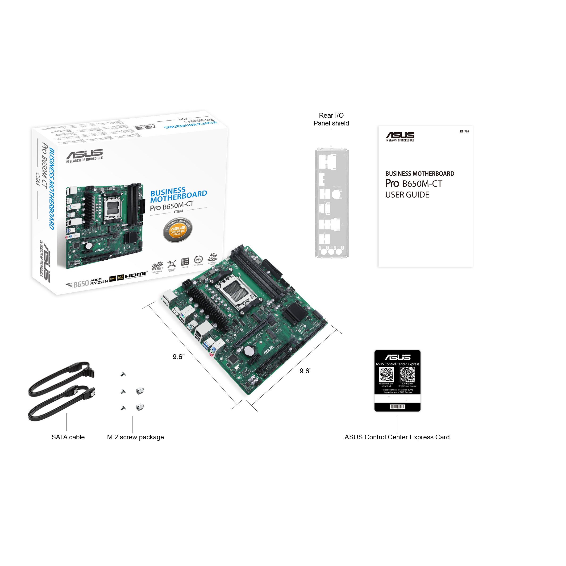 Asus Mainboard »PRO B650M-CT-CSM«