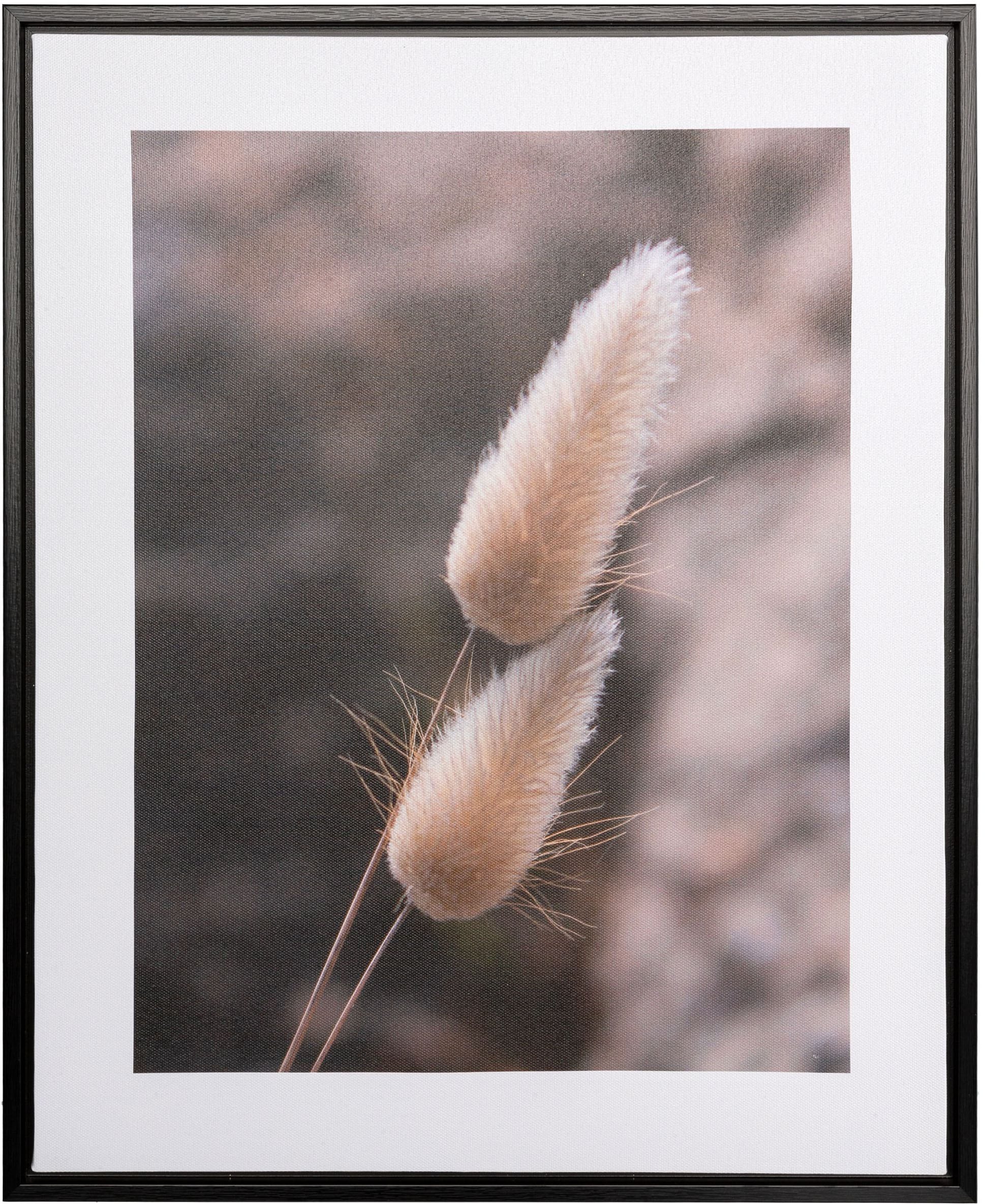 Creativ home Bild mit Rahmen »Schilf«, (2 St.), auf Canvas-Leinwand