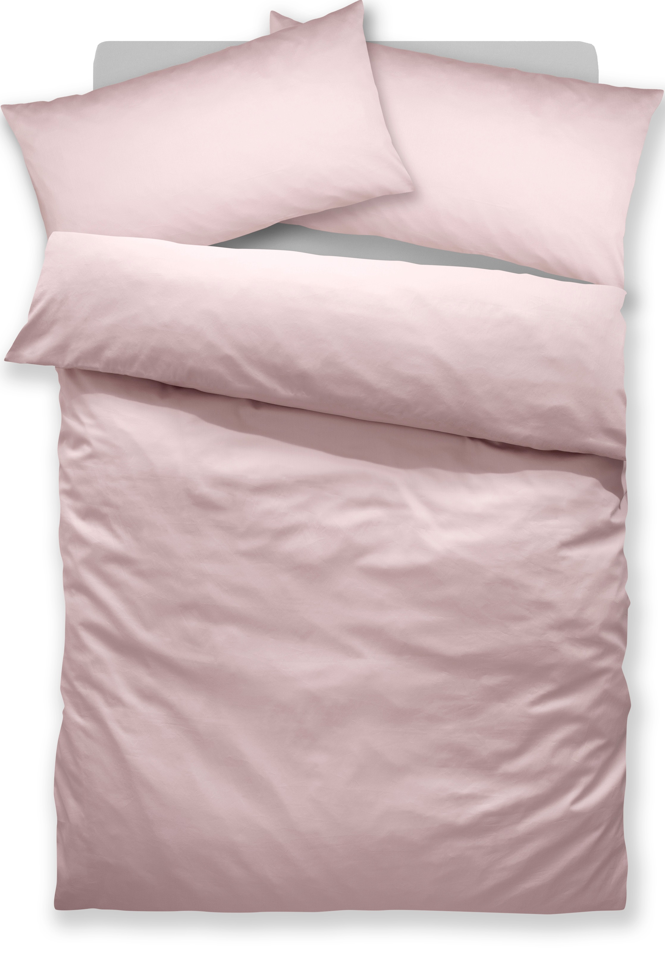 Home affaire Bettwäsche "Luisa" 2 Stk. tlg. NEUHEIT: 100% Baumwolle, ab Gr. günstig online kaufen