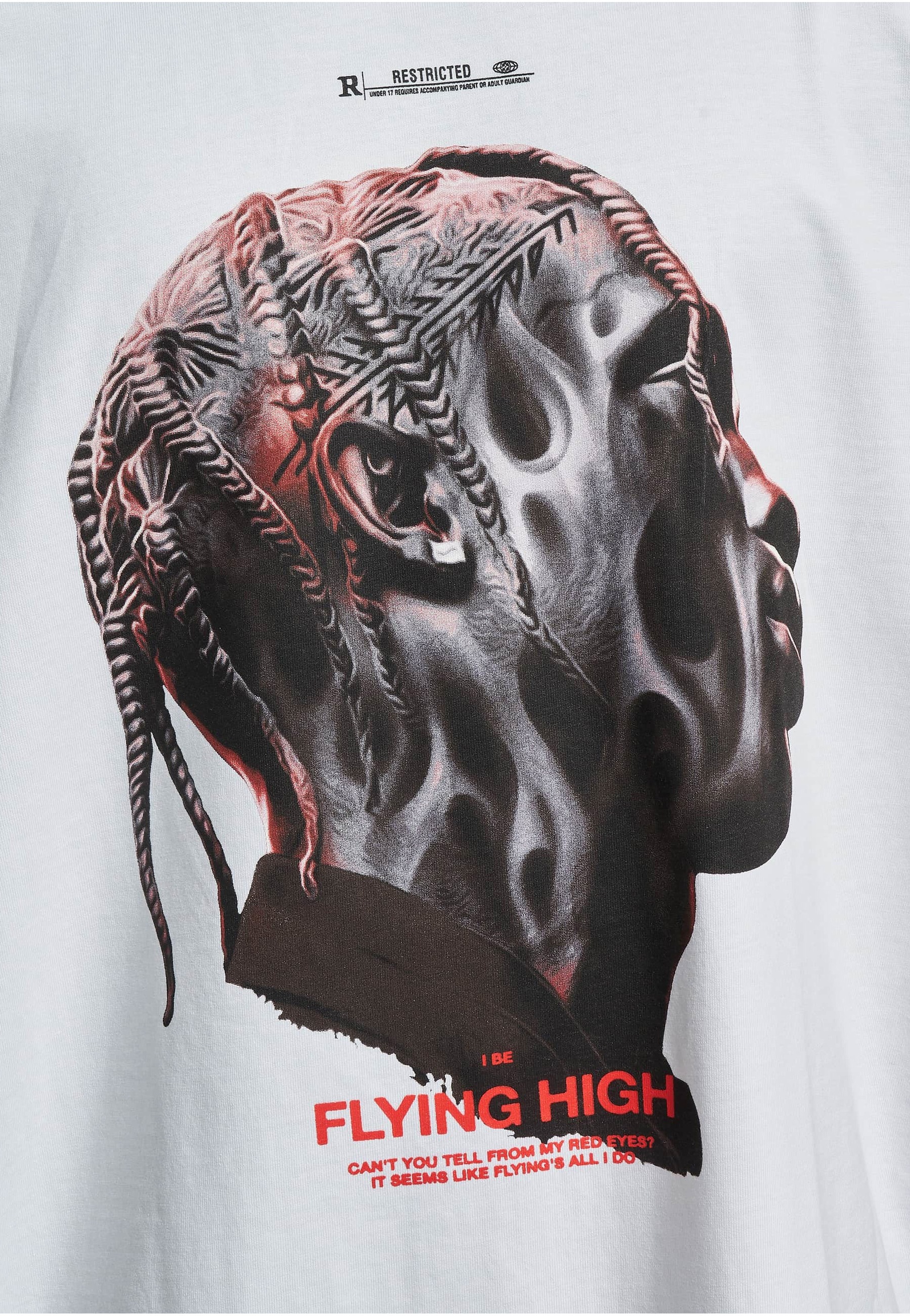 Upscale by Mister Tee Kurzarmshirt »Upscale by Mister Tee Herren Flying High Oversize Tee« 1 Stk.