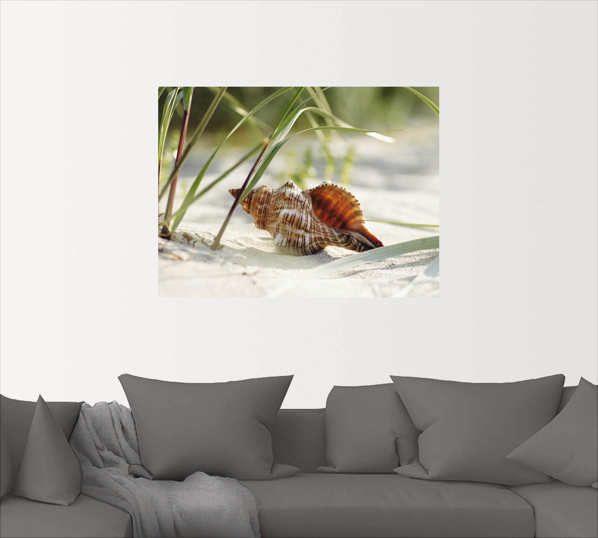Artland Wandbild »Große Muschel am Strand«, Wassertiere, (1 St.), als Leinwandbild, Poster, Wandaufkleber in verschied. Größen