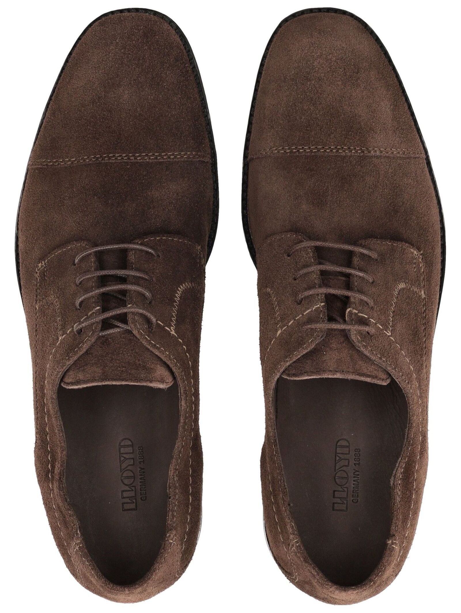 Lloyd Schnürschuh »LLOYD Businessschuhe Veloursleder«
