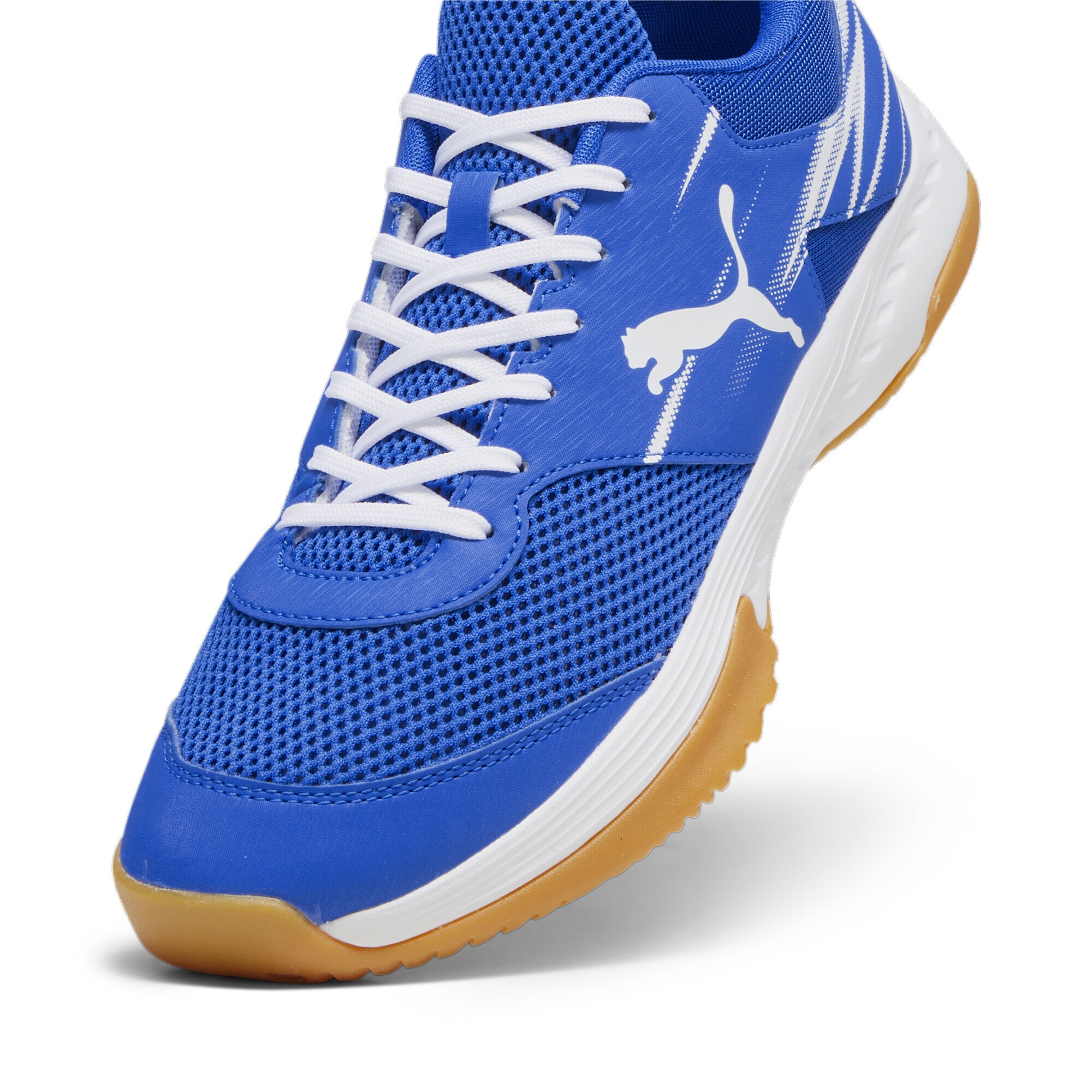 PUMA Trainingsschuh »Varion II Handballschuhe Erwachsene«