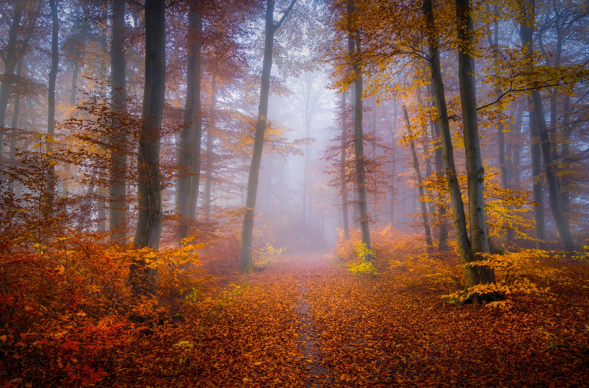 Papermoon Fototapete »Photo-Art NORBERT MAIER, OKTOBER TRAIL«