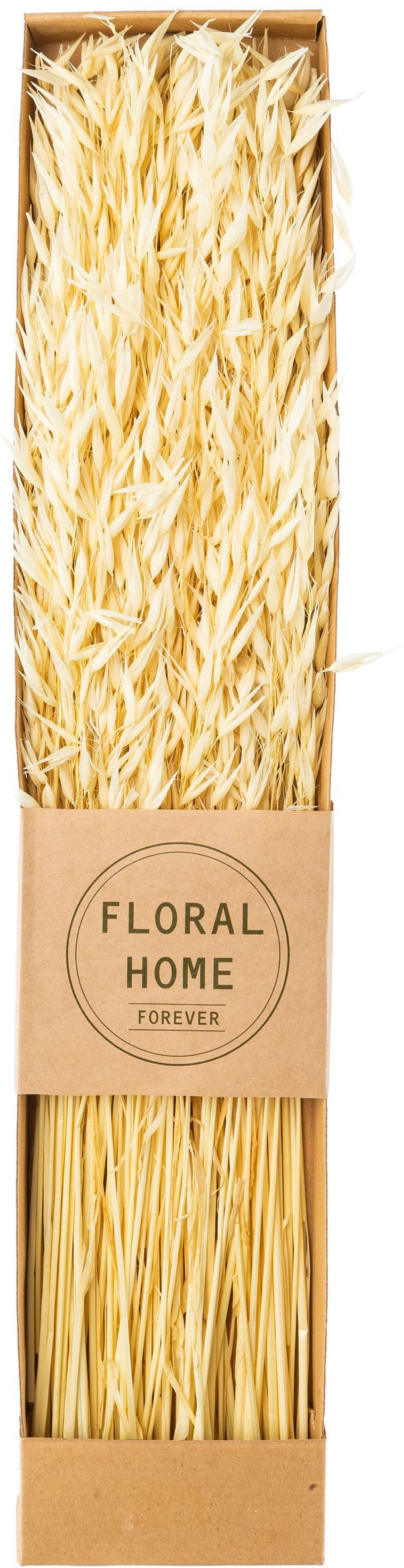 Creativ green Trockenblume »Trockenblumen-Bündel« in 3 Sorten