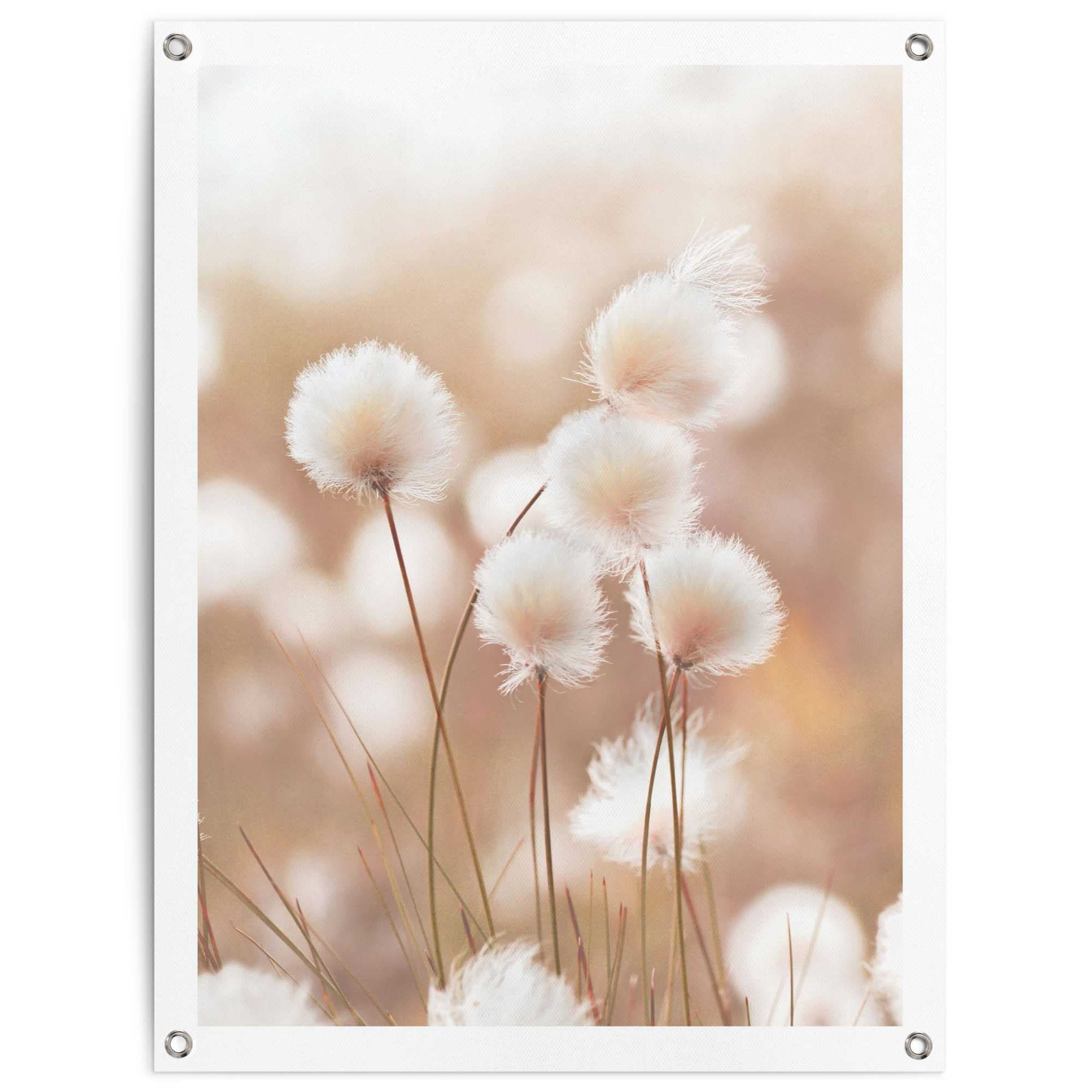 Reinders Poster "Baumwollzweig" Garten - Trockenblume - Beige - Leinwand - Blumen und Pflanzen