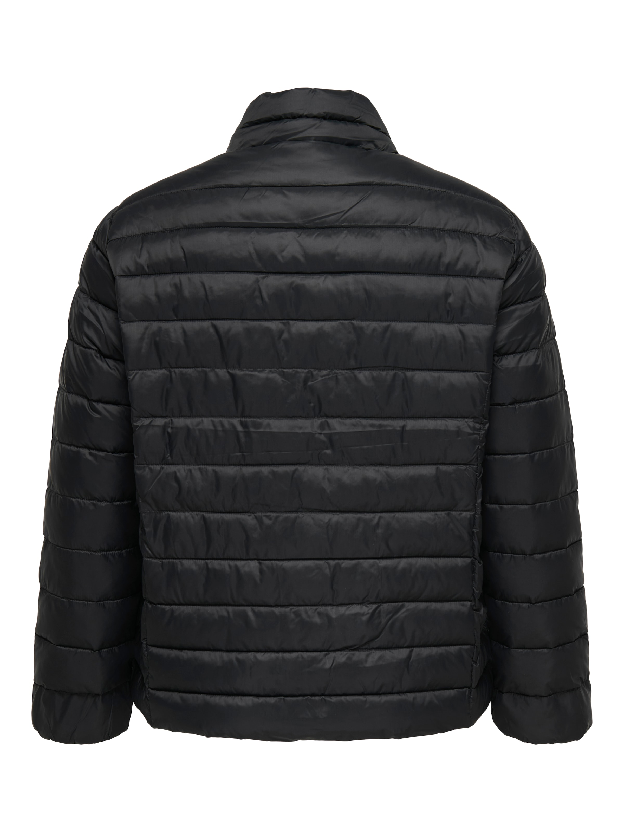 ONLY CARMAKOMA Steppjacke »CARTAHIA LW QUILTED JACKET OTW«