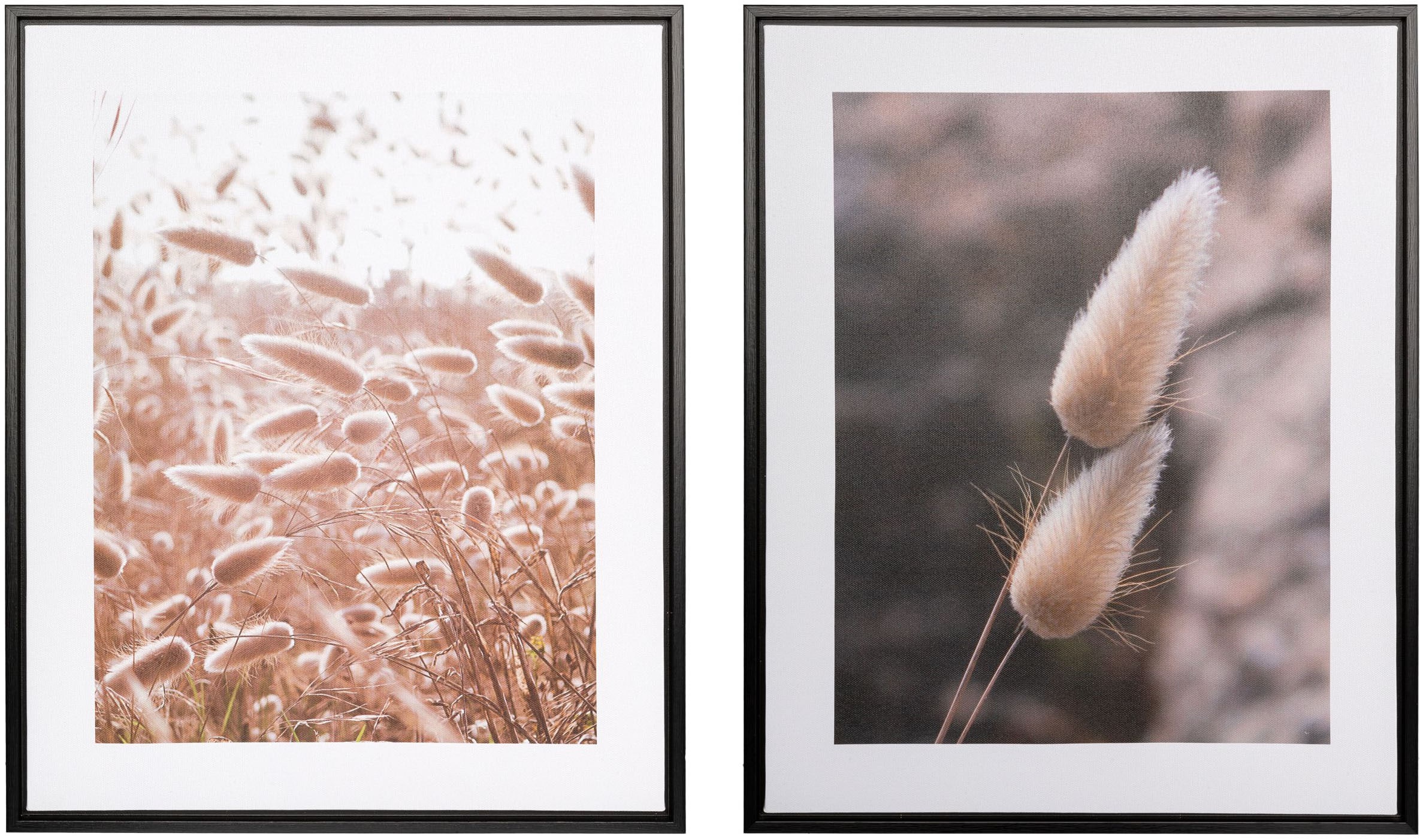 Creativ home Bild mit Rahmen "Schilf" 2 Stk. tlg. auf Canvas-Leinwand