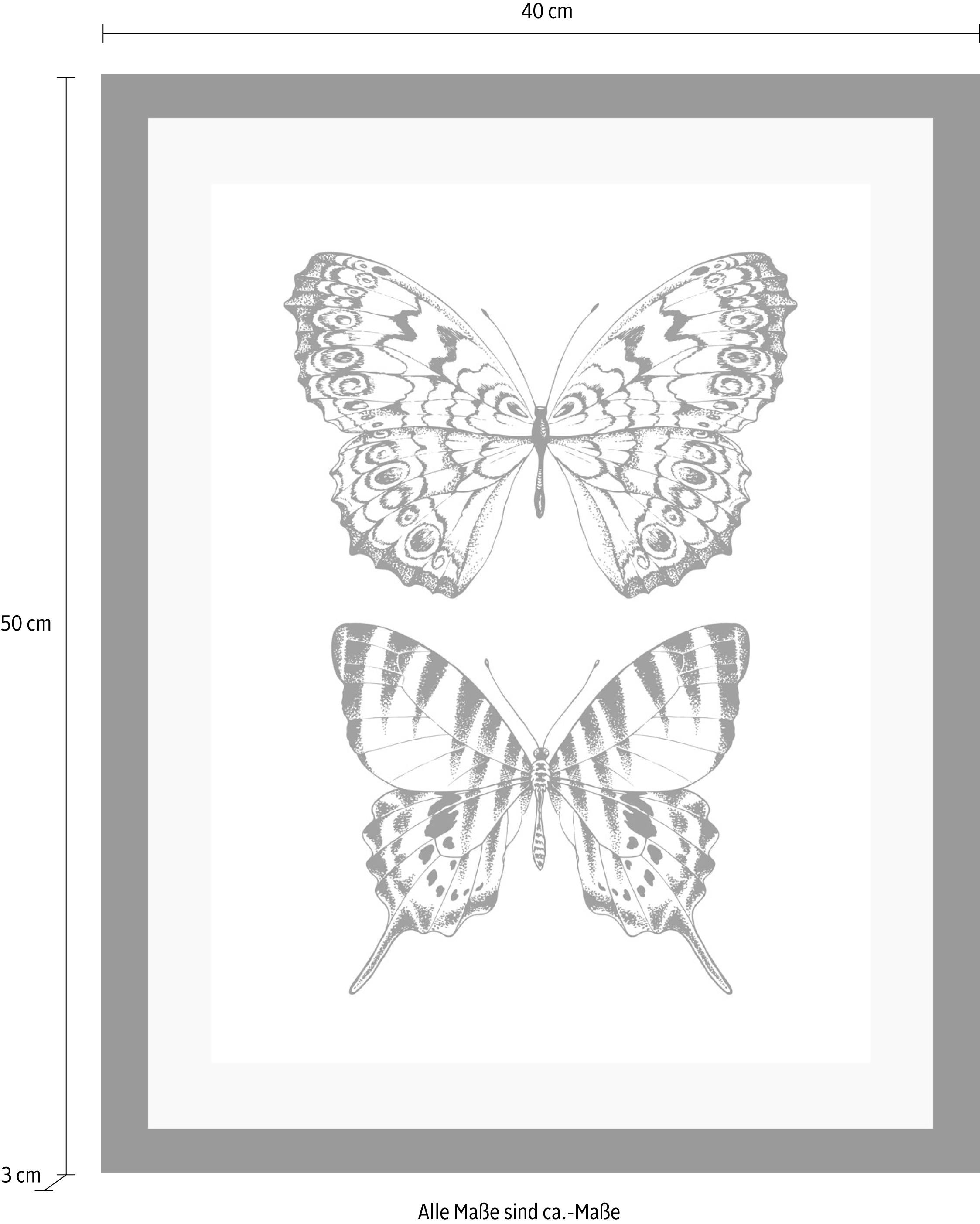 queence Bild »Schmetterlinge«, Tiere-Schwarz-Weiß-Kunst-Insekten-Schmetterlinge, HD Premium Poster-Druck inkl. Holzrahmen