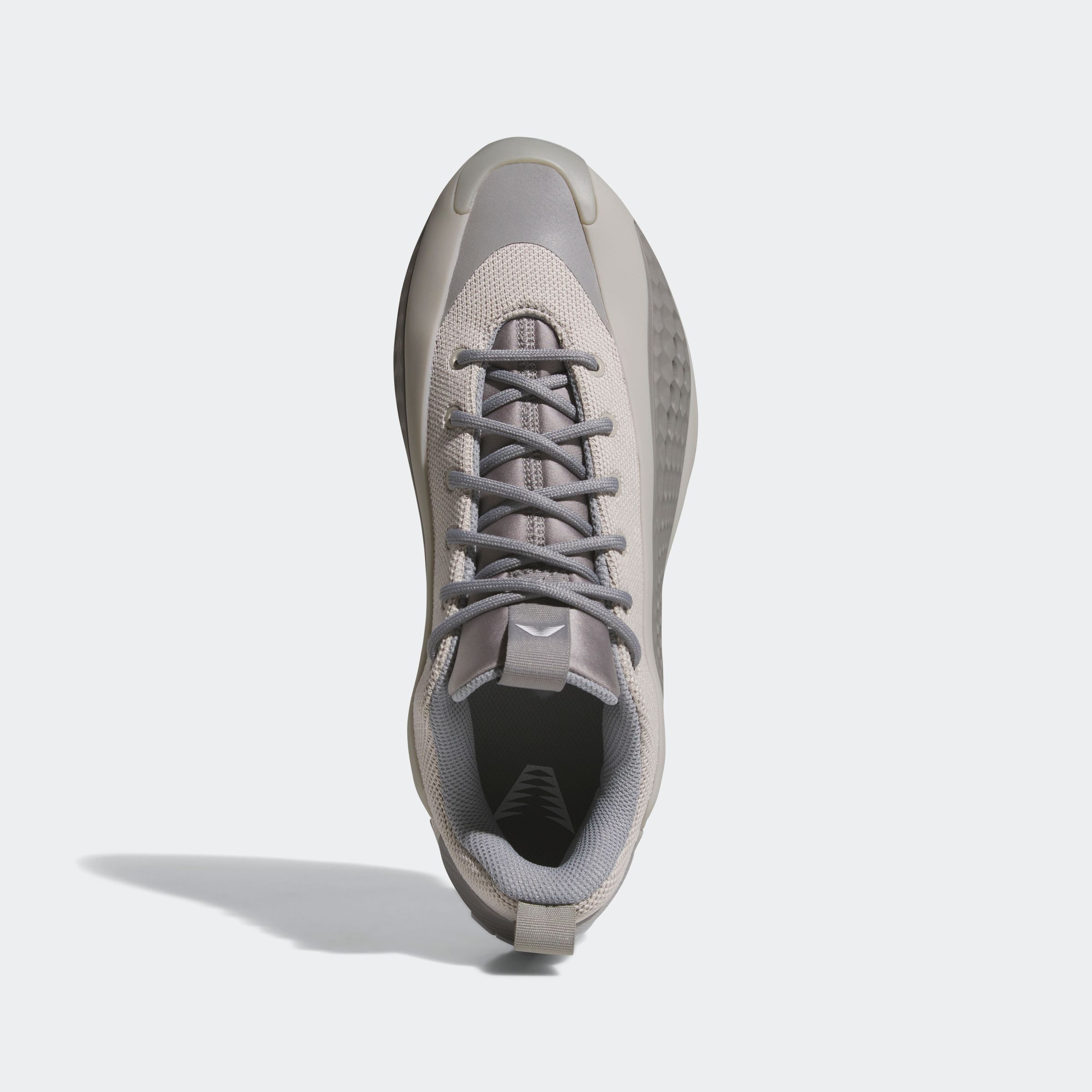 adidas Performance Basketballschuh »ANTHONY EDWARDS 1 LOW«