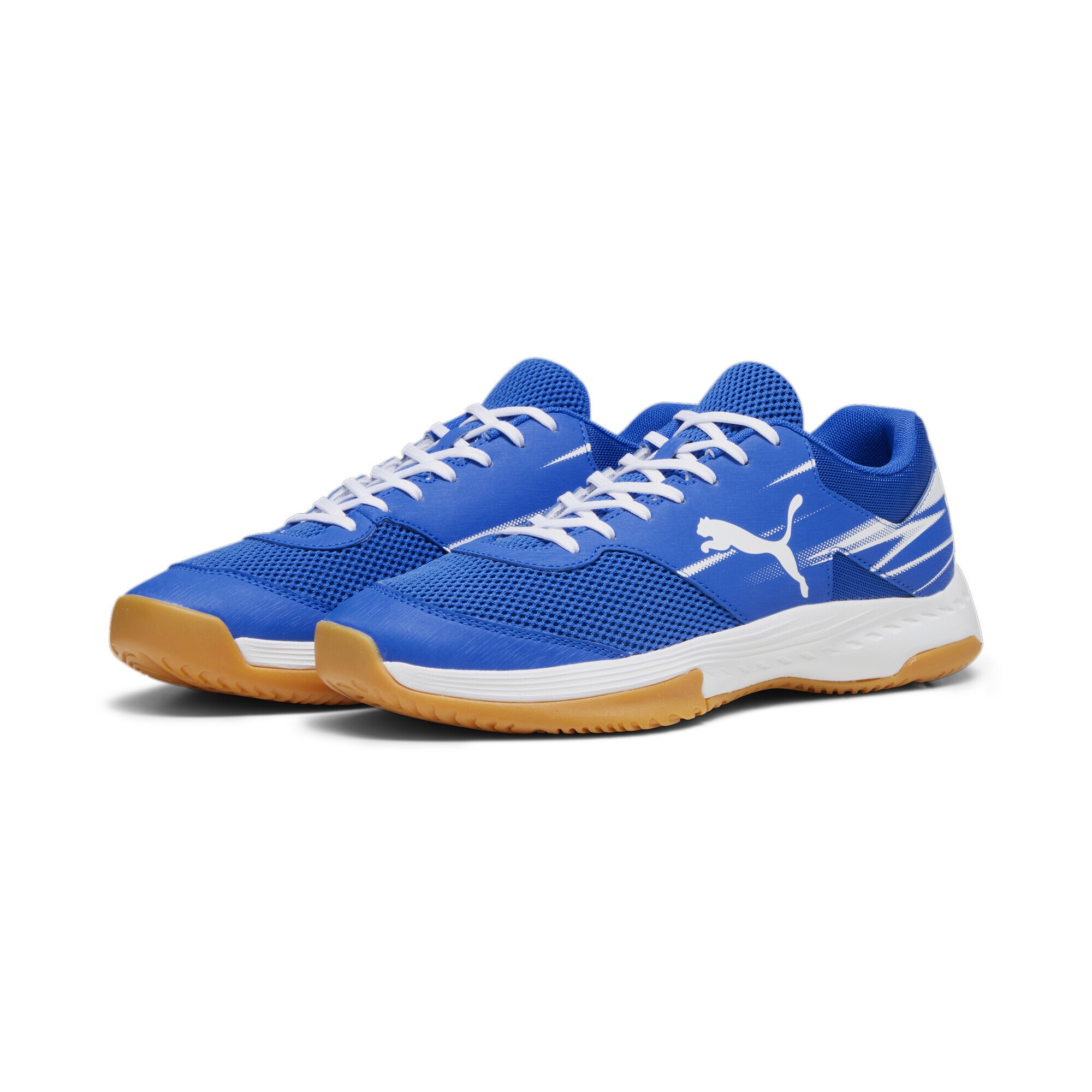PUMA Trainingsschuh "Varion II Handballschuhe Erwachsene" günstig online kaufen