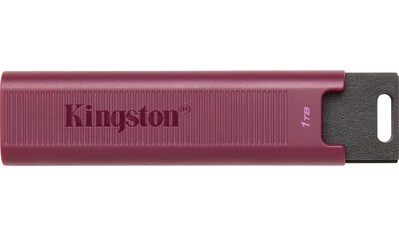 Kingston USB-Stick »DATATRAVELER MAX SERIE 1TB«, (USB 3.2 Lesegeschwindigkeit 1000 MB/s) kaufen