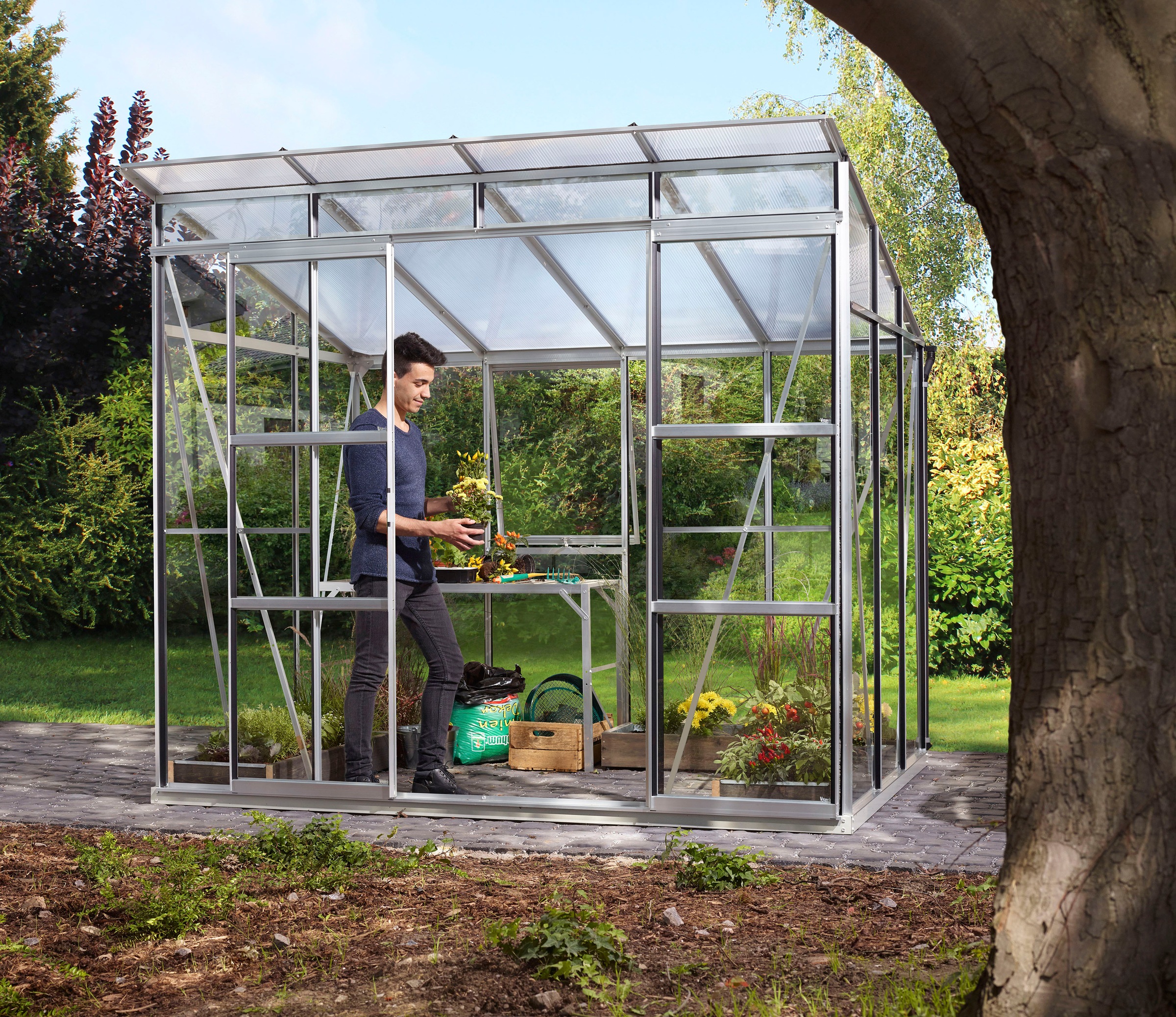 Vitavia Gewächshaus "Freya 5900" Alu-Profilen, Wand 3 mm Sicherheitsglas, D günstig online kaufen