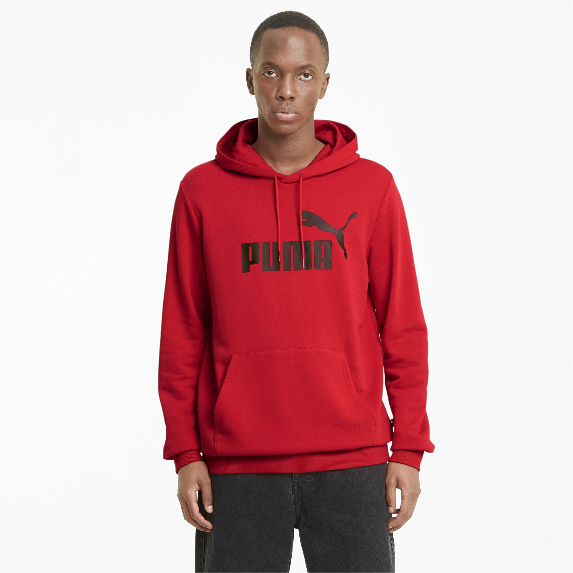 PUMA Hoodie »Essentials Big Logo Hoodie Herren«