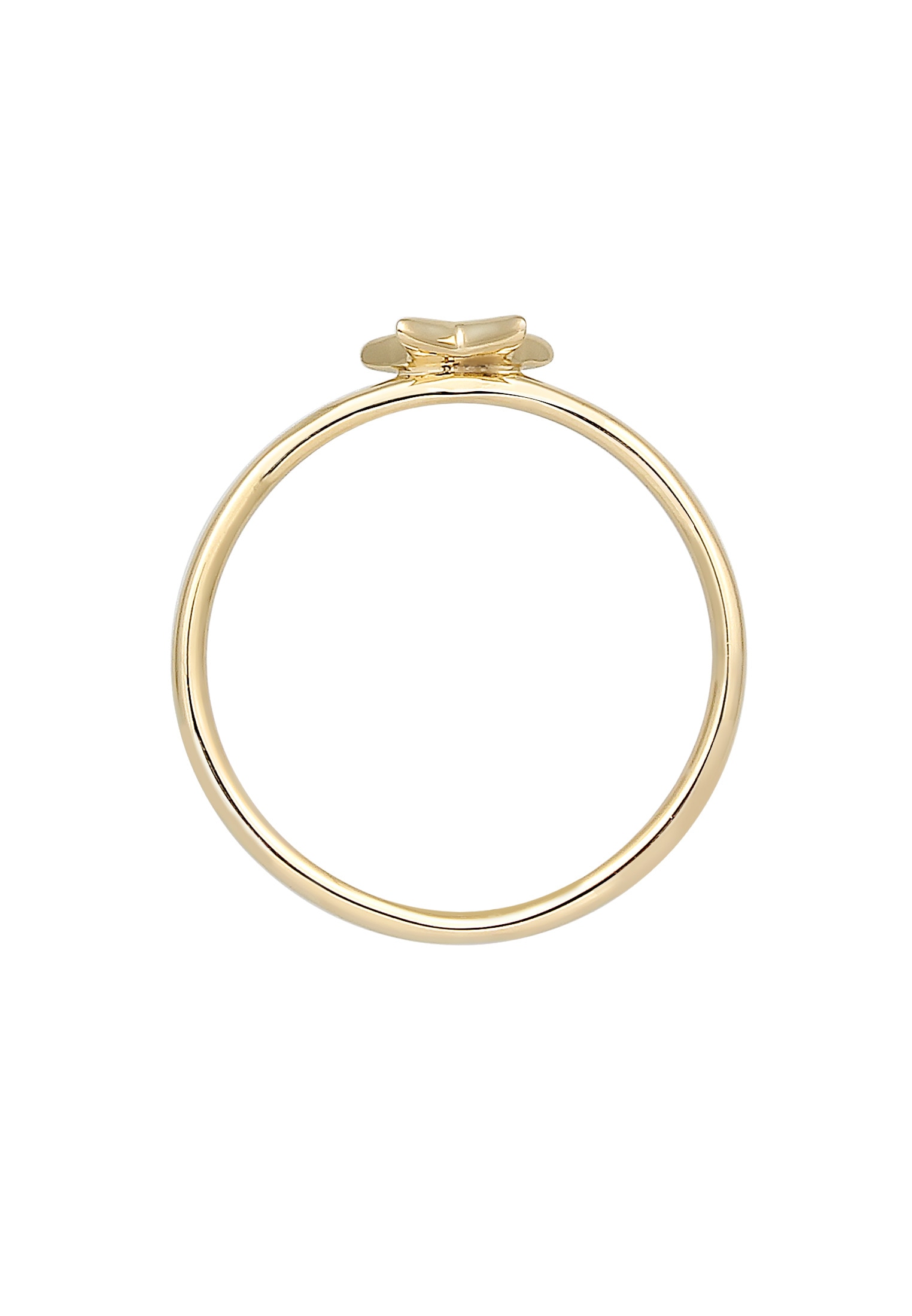 Elli DIAMONDS Diamantring »Bandring Stern Astro Diamant (0.015ct)375 Gelbgold«