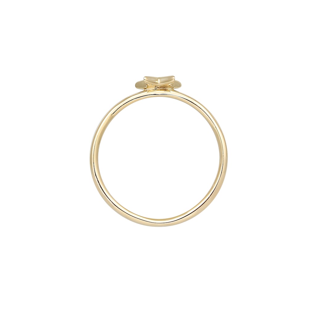 Elli DIAMONDS Diamantring »Bandring Stern Astro Diamant (0.015ct)375 Gelbgold«