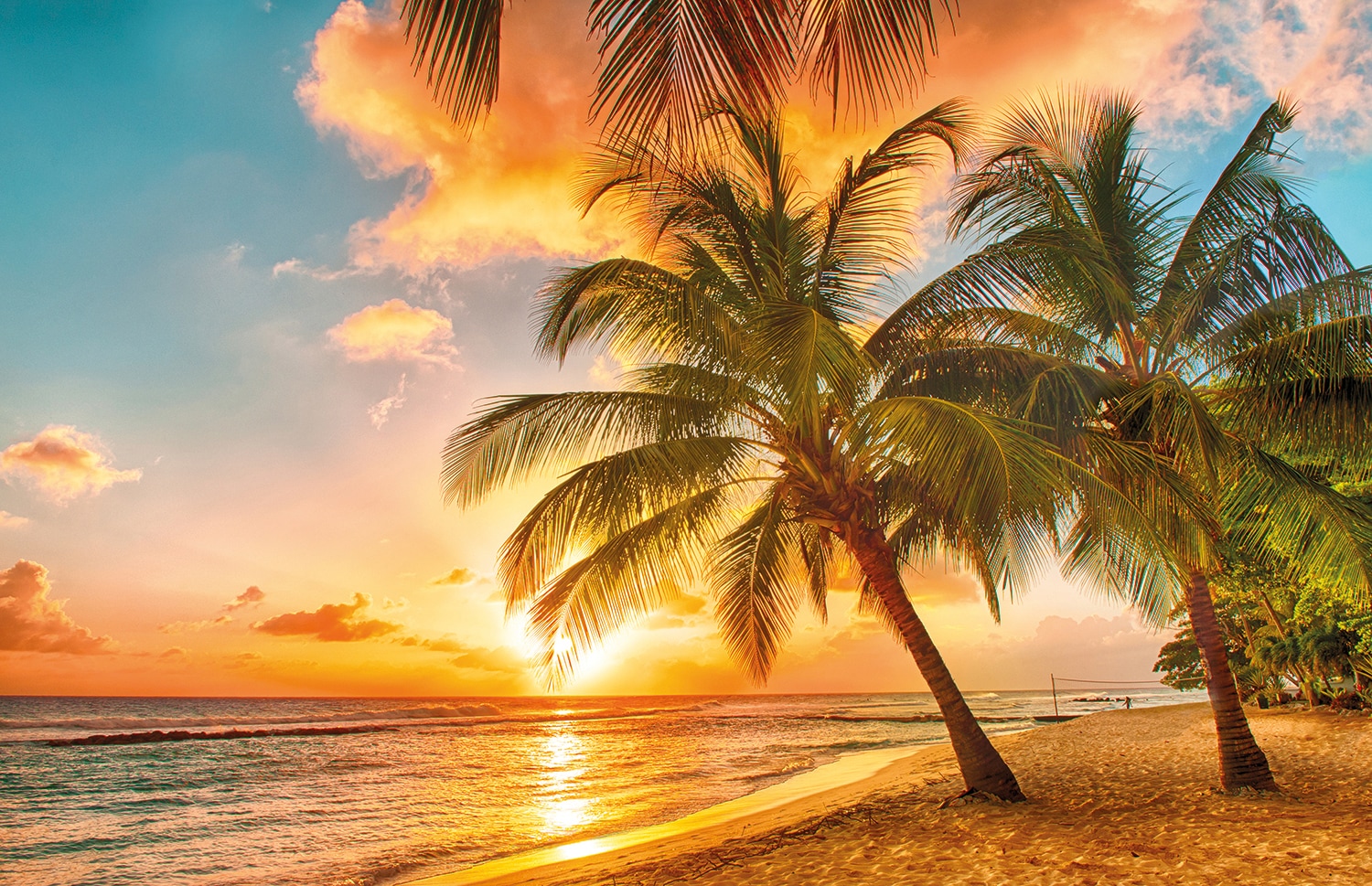 Papermoon Fototapete "Barbados Palm Beach" glatt