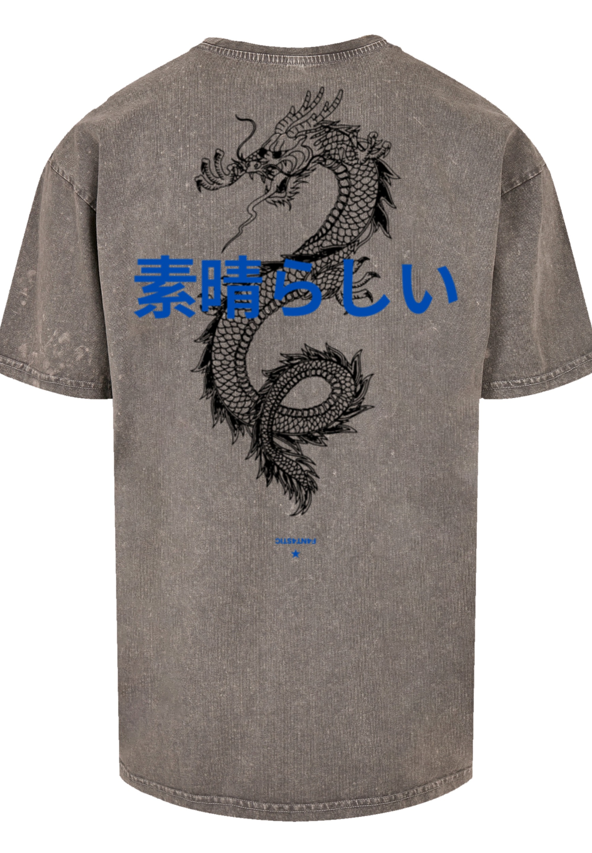 F4NT4STIC T-Shirt »Drache«, Print