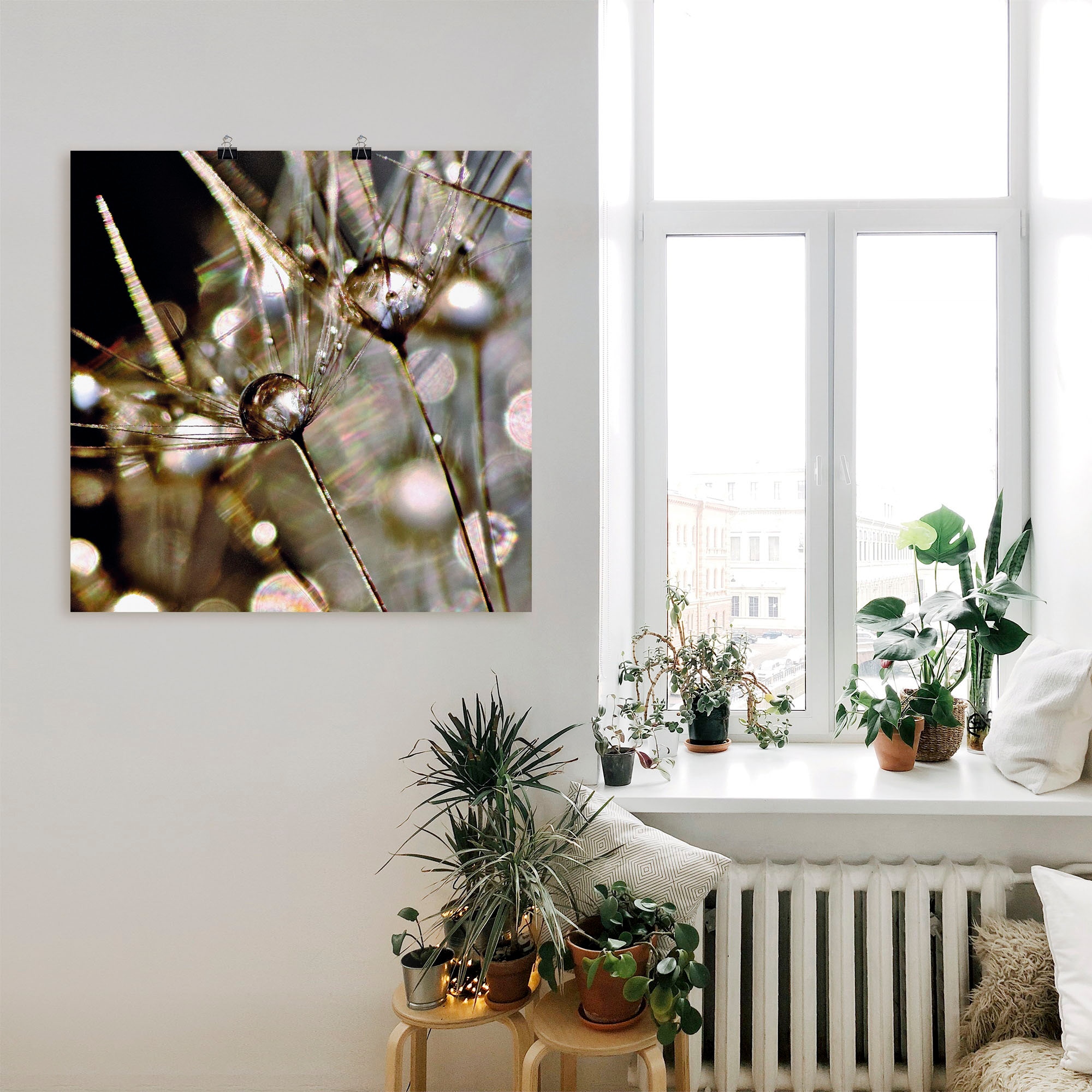 BAUR Artland Wandaufkleber als Größen »Pusteblume Alubild, bestellen oder Poster Leinwandbild, Blumen, versch. St.), abstrakt«, (1 | in Wandbild