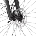 FISCHER Fahrrad E-Bike »VIATOR ETH 2222 422«, 24 Gang, Shimano, Altus, (mit Akku-Ladegerät-mit Werkzeug)