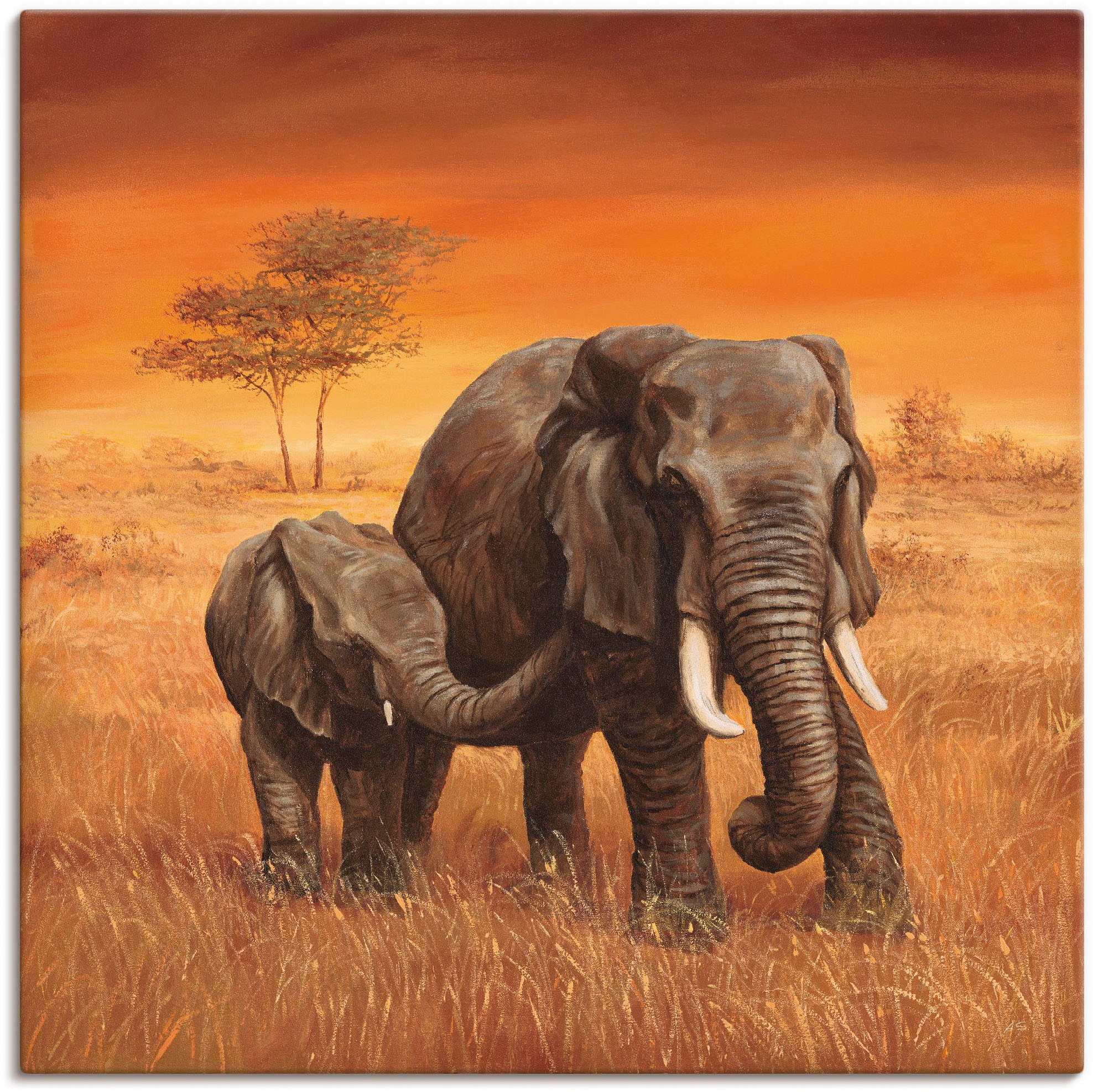 Artland Wandbild "Elefanten II" Wildtiere 1 Stk. tlg. auf Holzrahmen gespan günstig online kaufen