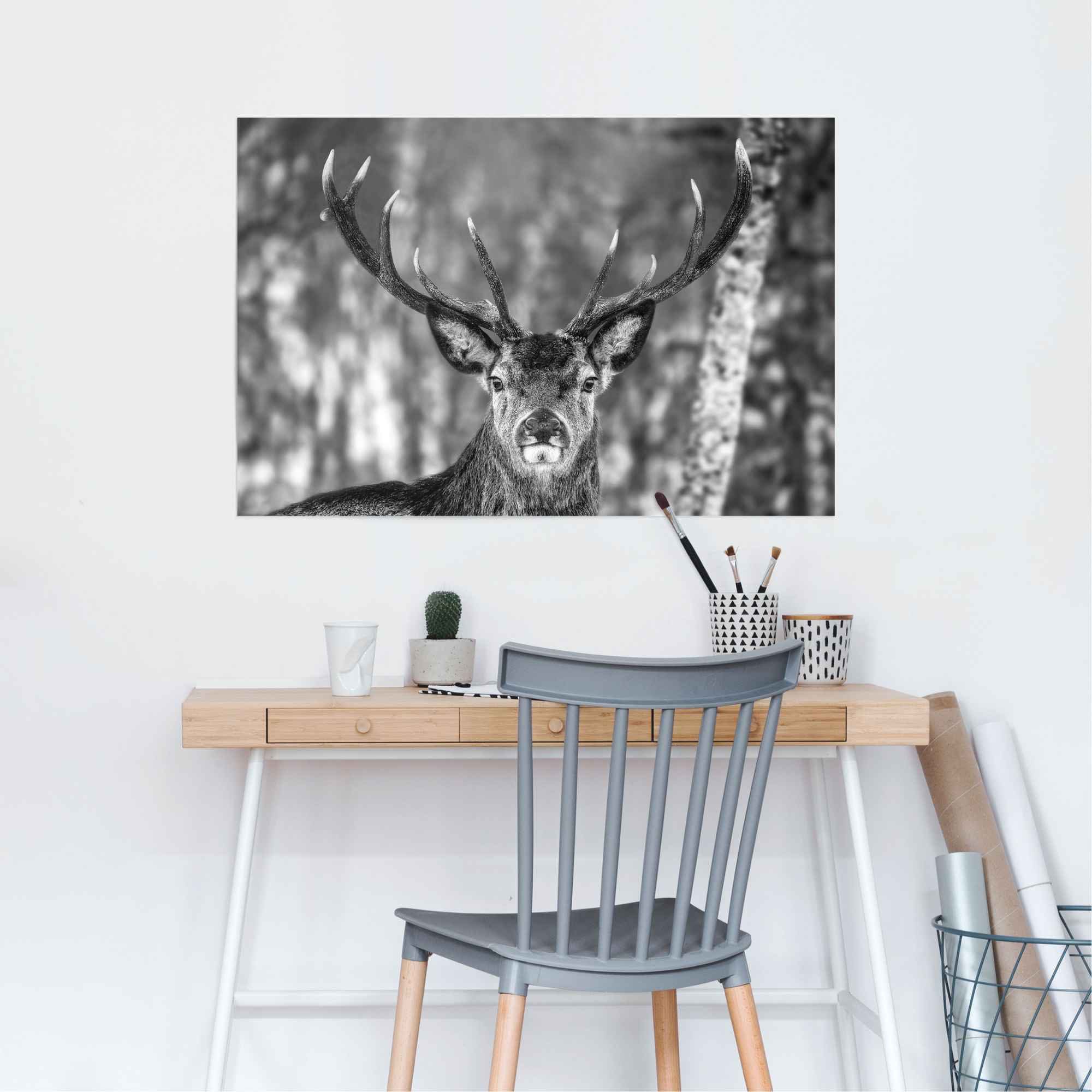 Reinders Poster "Hirsch im Winter" 1 Stk. tlg. günstig online kaufen