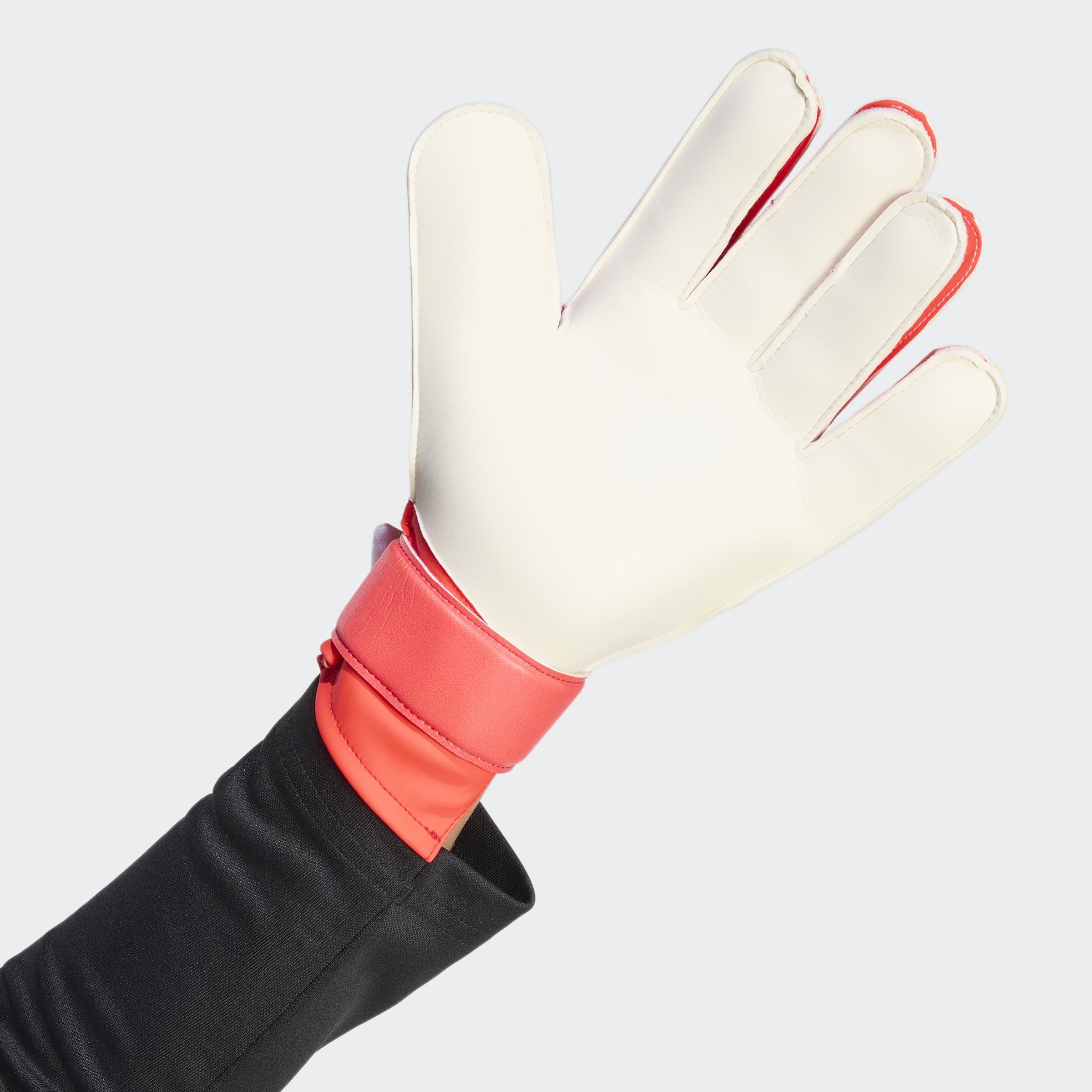 adidas Performance Torwarthandschuhe »PRED GL TRN«