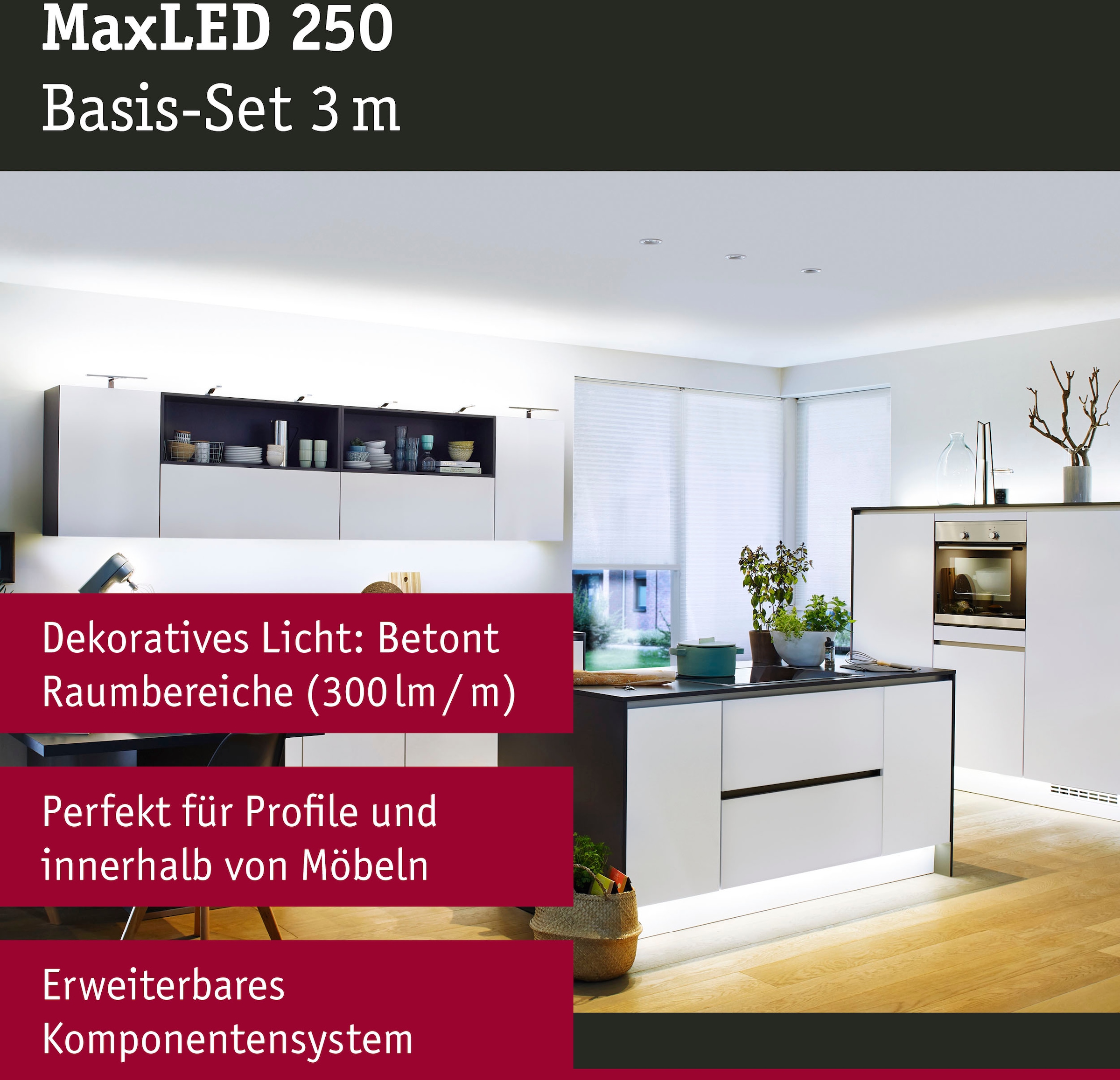 Paulmann LED Stripe »MaxLED 250 Basisset unbeschichtet 3m Tageslichtweiß«, 1  St.-flammig kaufen | BAUR