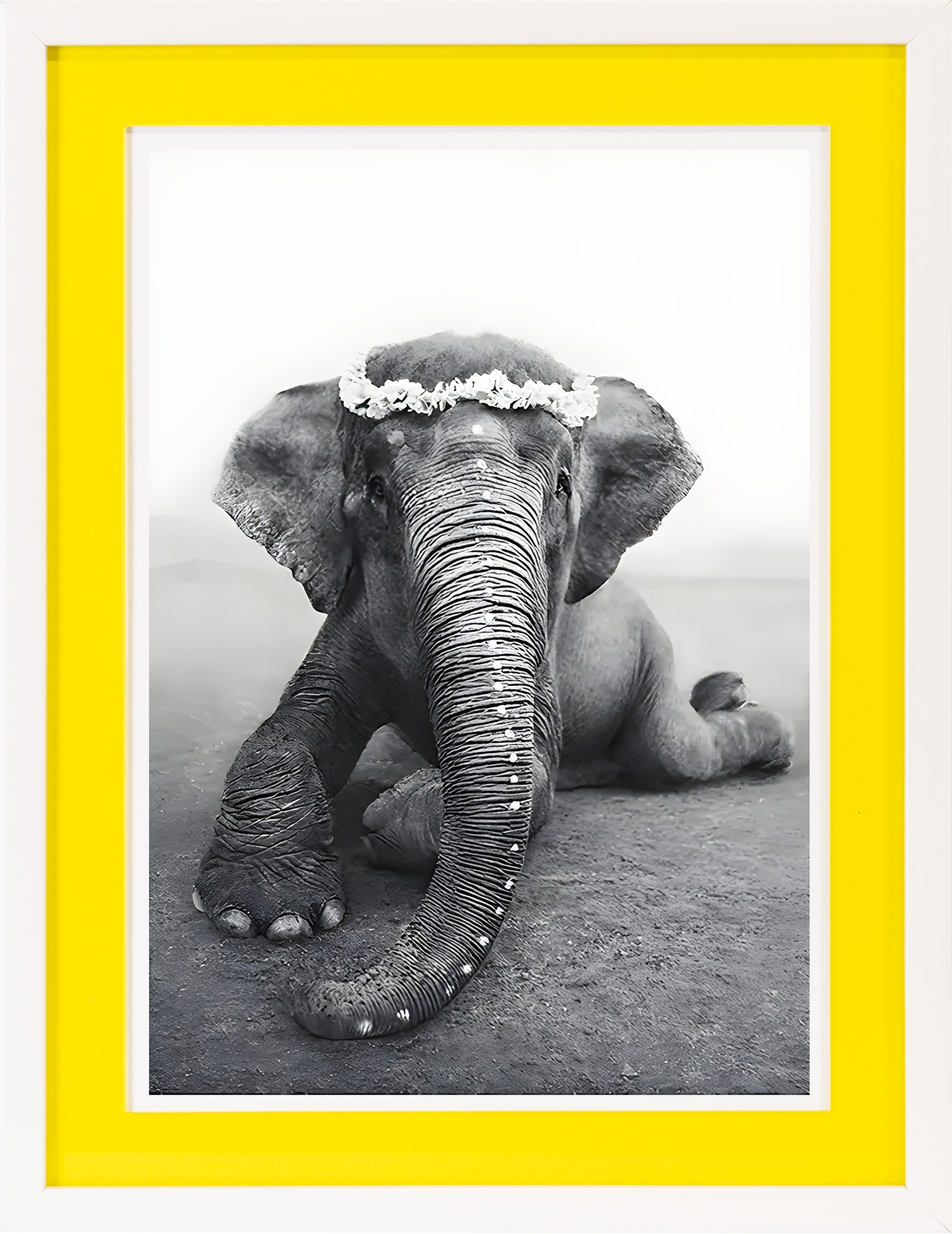 queence Bild mit Rahmen »Elefant«, Elefant-Elefanten-Elefanten Bilder-Schwarz-Weiß, (1 St.), Poster mit buntem Acrylglas Passepartout