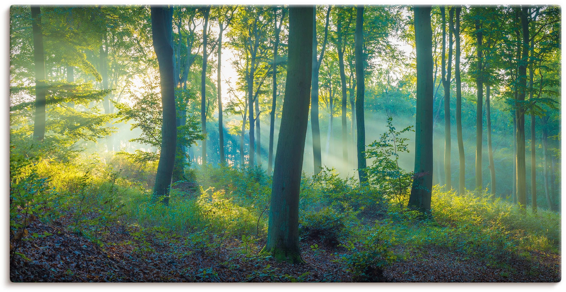 Artland "Wald Panorama" Waldbilder 1 Stk. tlg. auf Holzrahmen gespannt günstig online kaufen