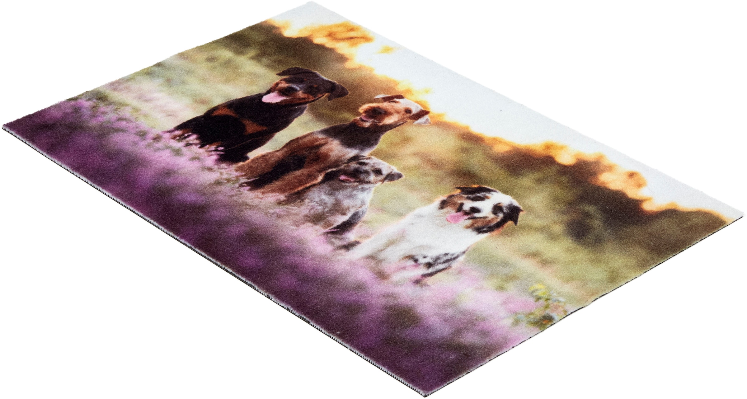ASTRA Fußmatte »Deco Print 107« rechteckig 5 mm Höhe Sauberlaufmatte, Türmatte, waschbar, Eingangsbereich, rutschfest
