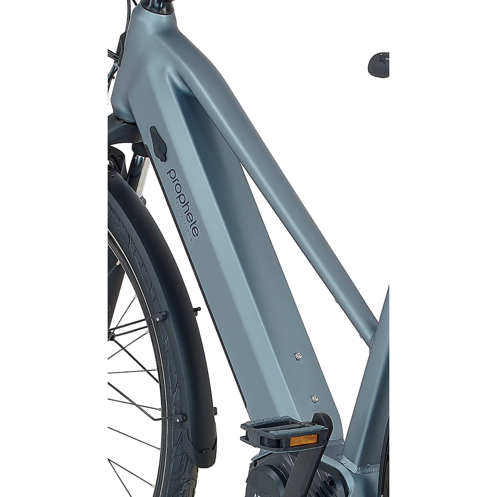 Prophete E-Bike »Prophete E-Bike Entdecker 3.8«, 8 Gang, Shimano, Altus, Mittelmotor 250 W