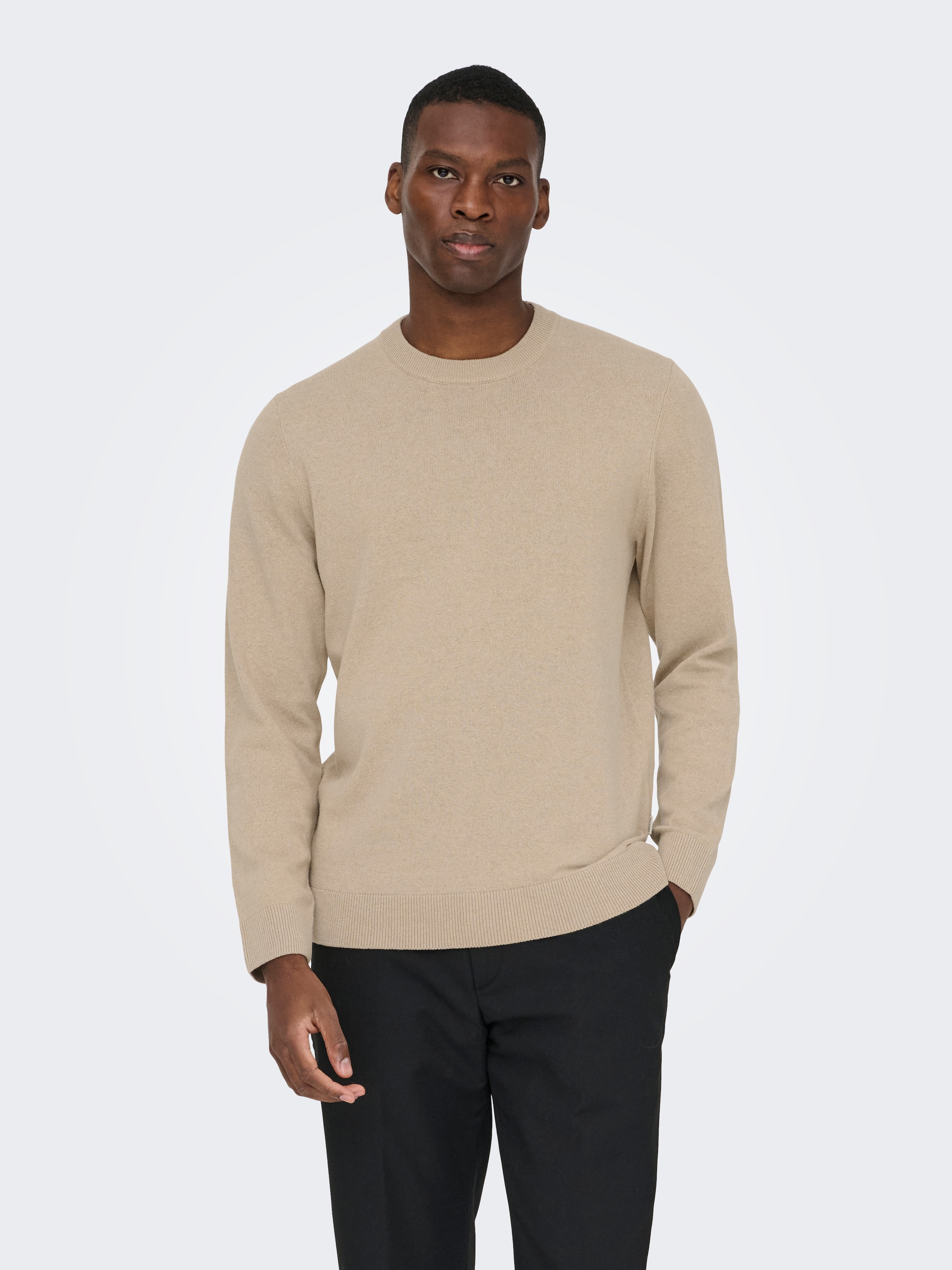 ONLY & SONS Rundhalspullover »ONSREX LIFE REG 12 CREW KNIT«