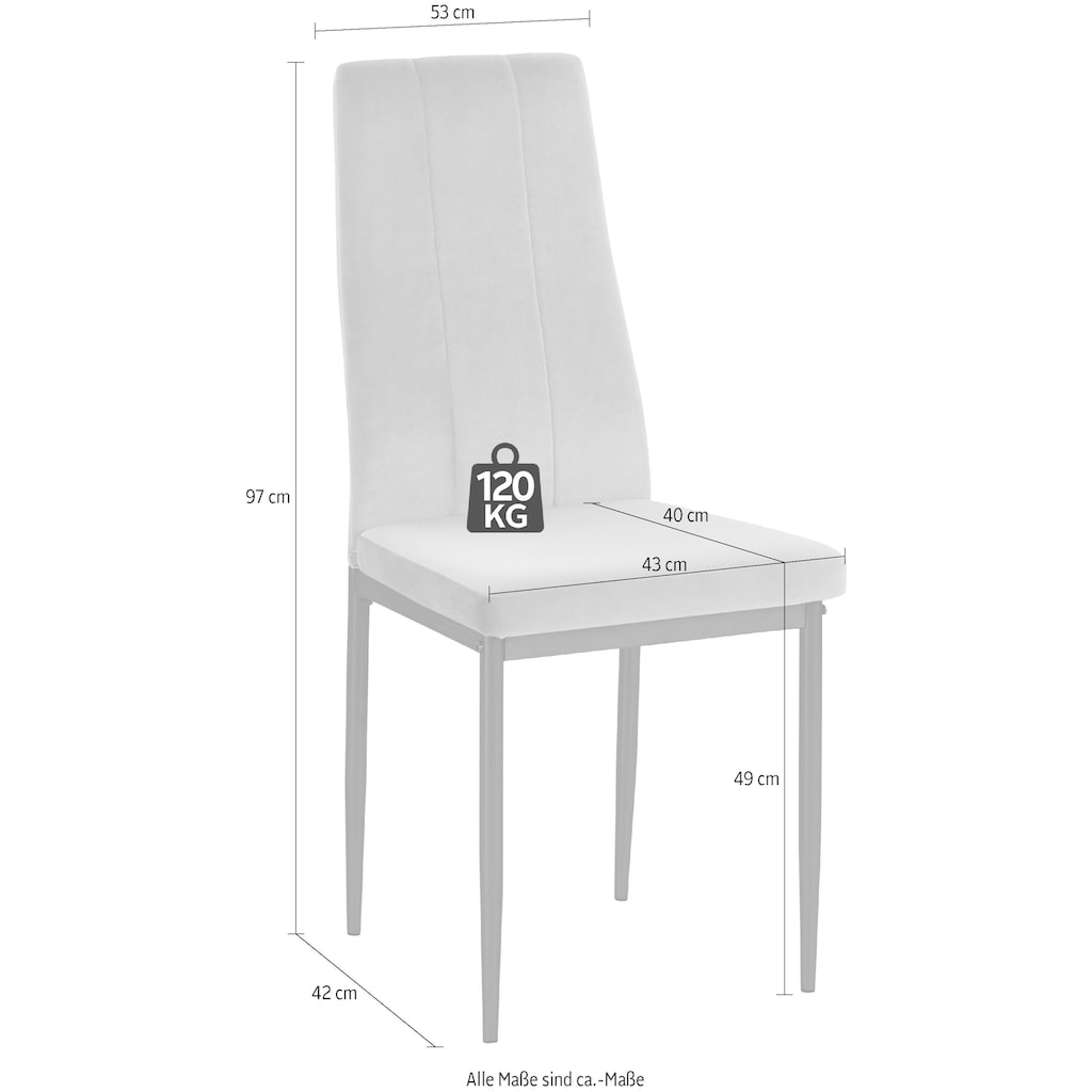 INOSIGN Esszimmerstuhl »Remus«, (Set), 1 St., Samtvelours