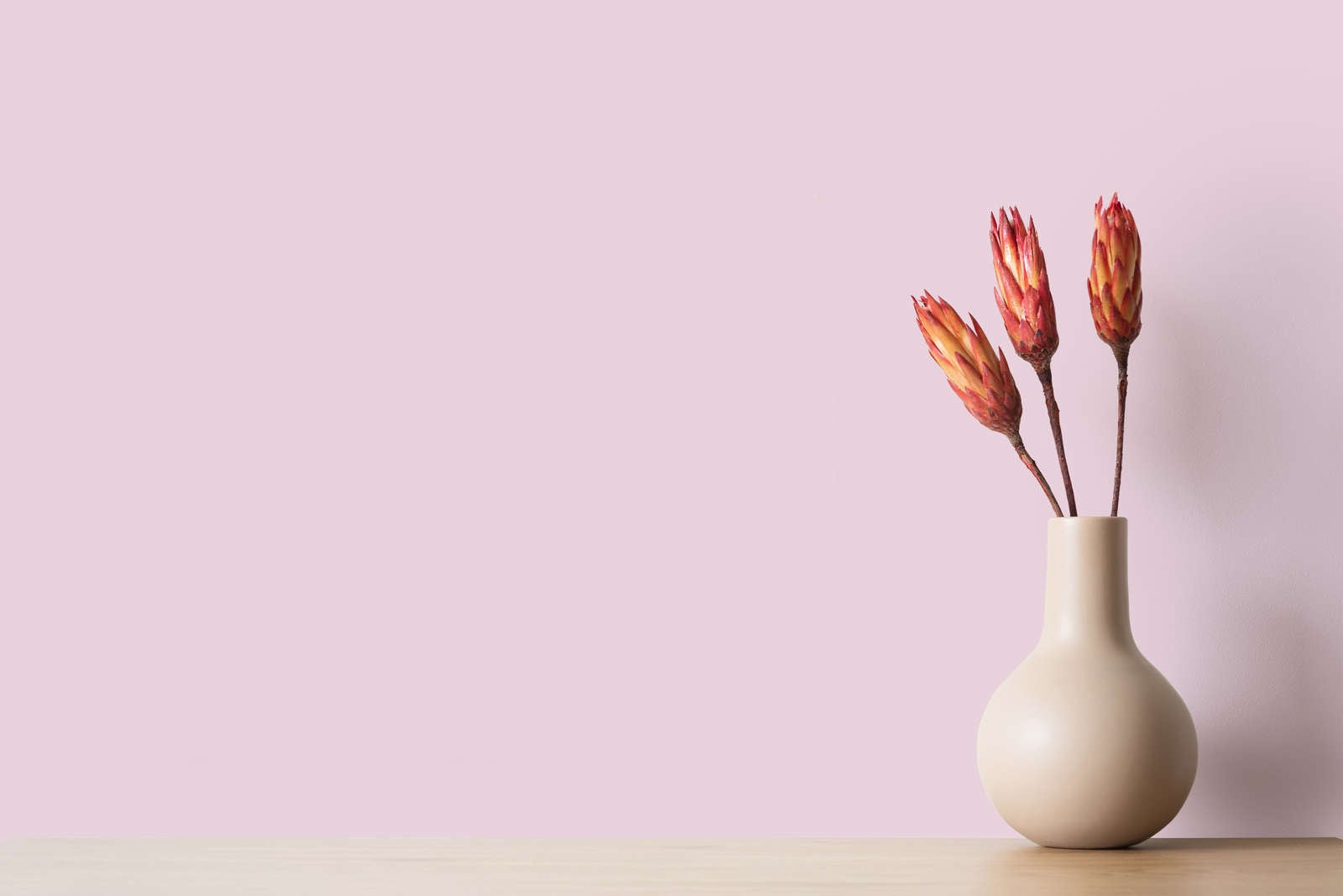 A.S. Création Wand- und Deckenfarbe »Seidenmatt Innenfarbe THE COLOR KITCHEN« für Wohnzimmer Schlafzimmer Flur Küche, versch. Rosatöne