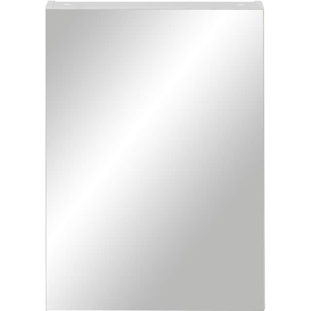 Schildmeyer Spiegelschrank »Basic«, Breite 50 cm, 1-türig, Glaseinlegeböden,  Made in Germany bestellen | BAUR
