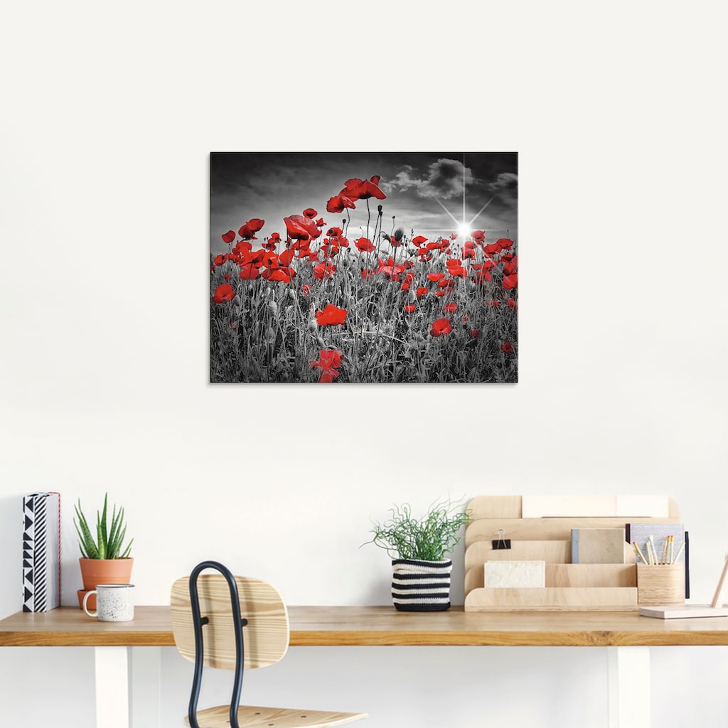 Artland Glasbild »Idyllisches Mohnblumenfeld«, Blumen, (1 St.)