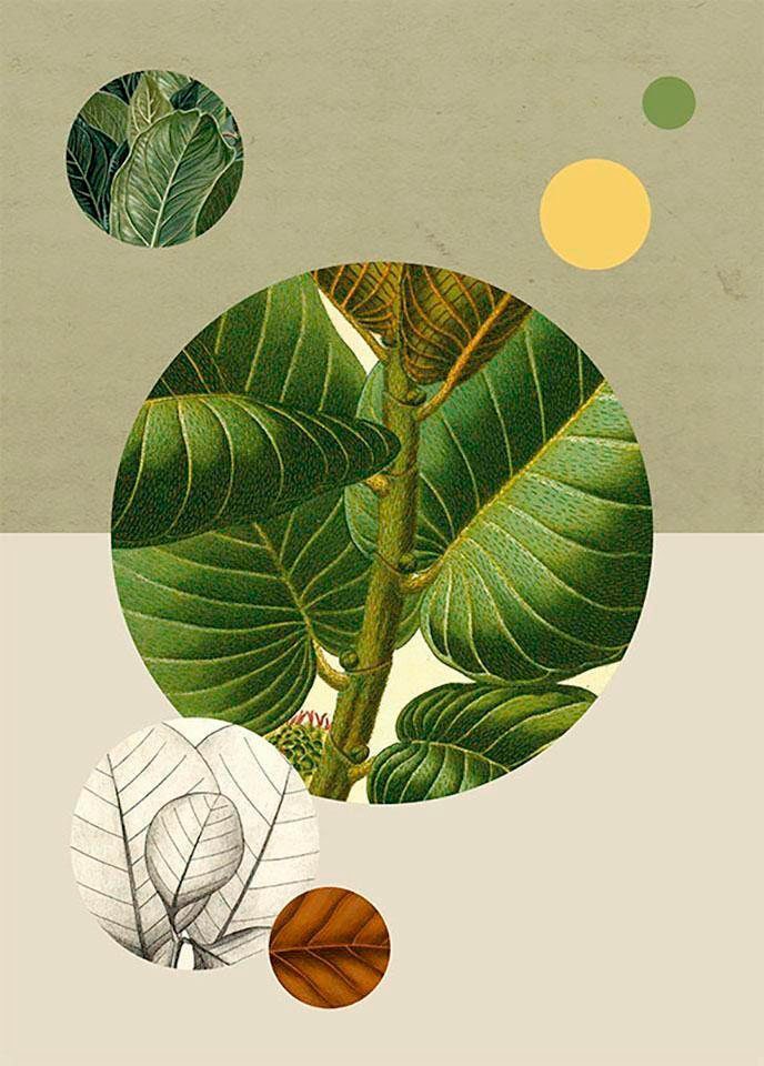 Komar Poster »Green Structure«, Pflanzen-Blätter, (1 Schlafzimmer, Kinderzimmer, BAUR | St.), Wohnzimmer