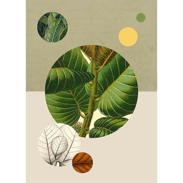 Komar Poster »Green Structure«, Pflanzen-Blätter, (1 St.), Kinderzimmer,  Schlafzimmer, Wohnzimmer | BAUR